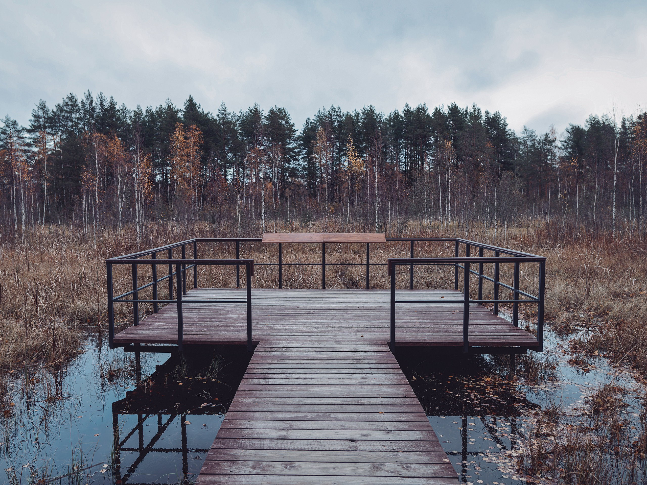Андрей Васильев. Фотограф, Санкт-Петербург, Российская Федерация