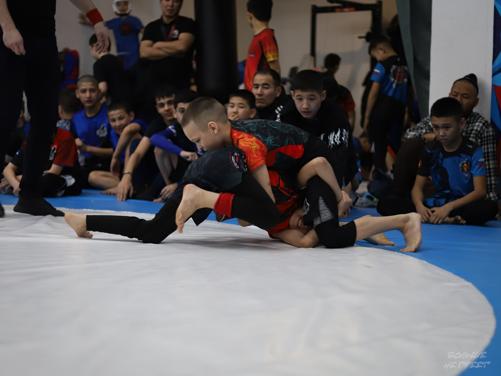 GORILLA PRIDE CUP. Больше не греет