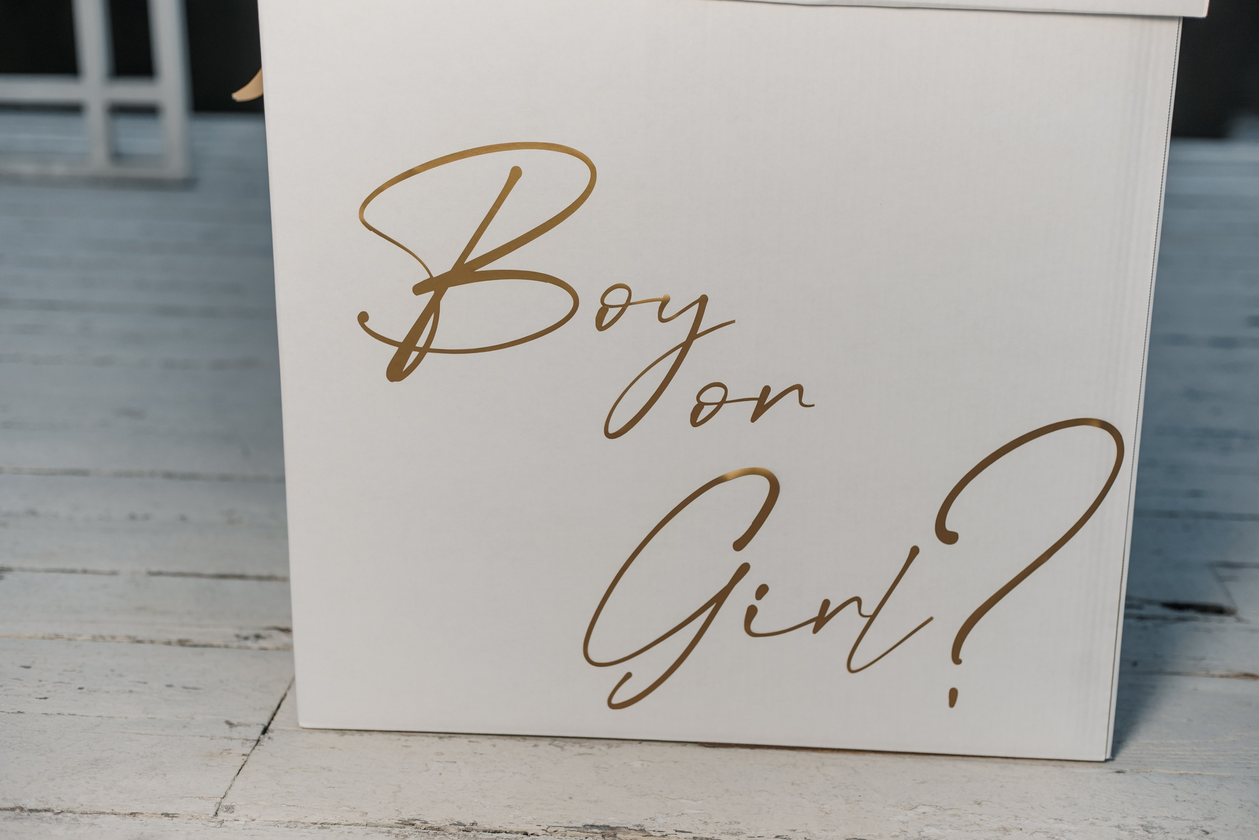 Гендер Пати. Репортажный фотограф. Москва. Алина Ланская