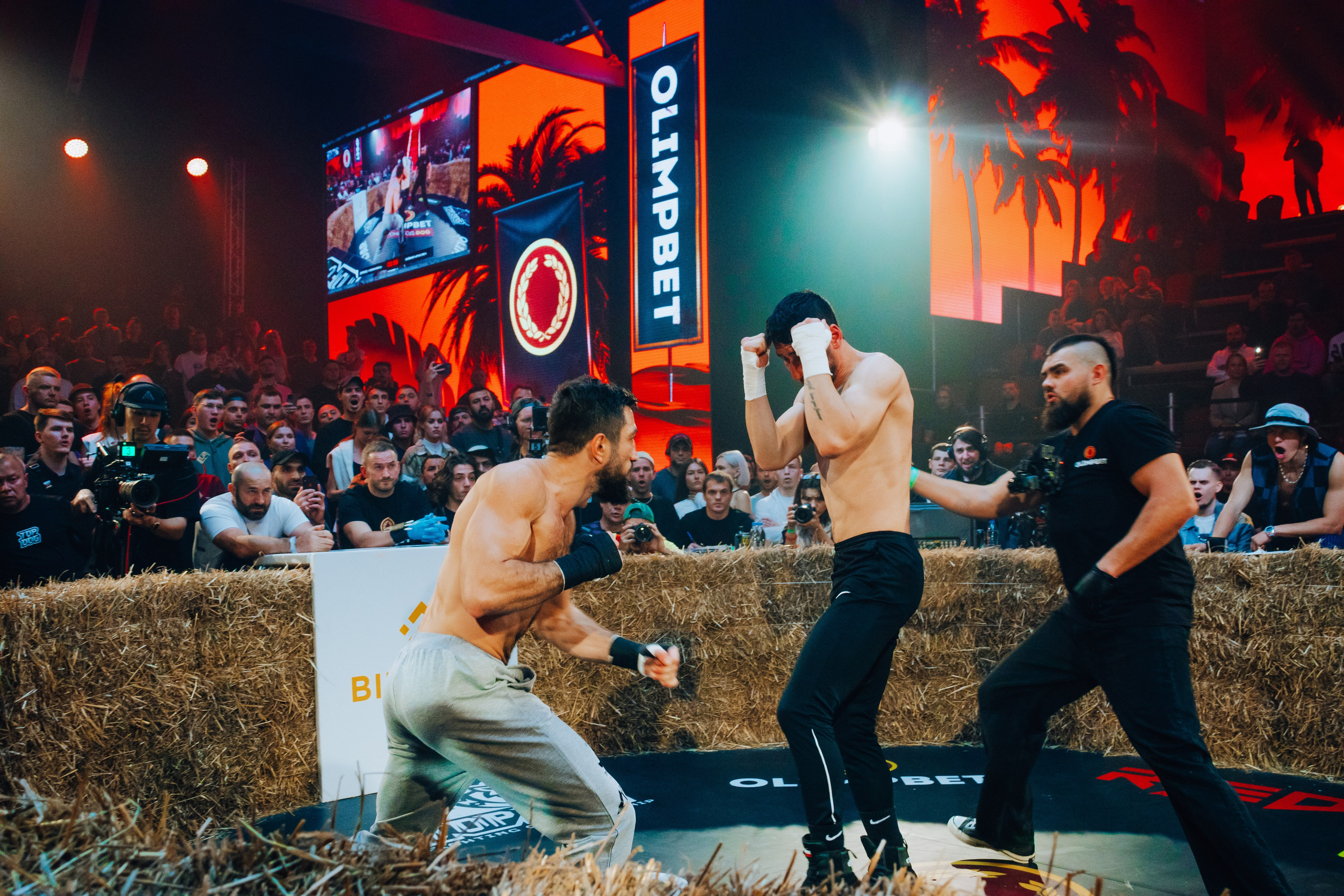 Кулачные бои TopDog. Анастасия Тен