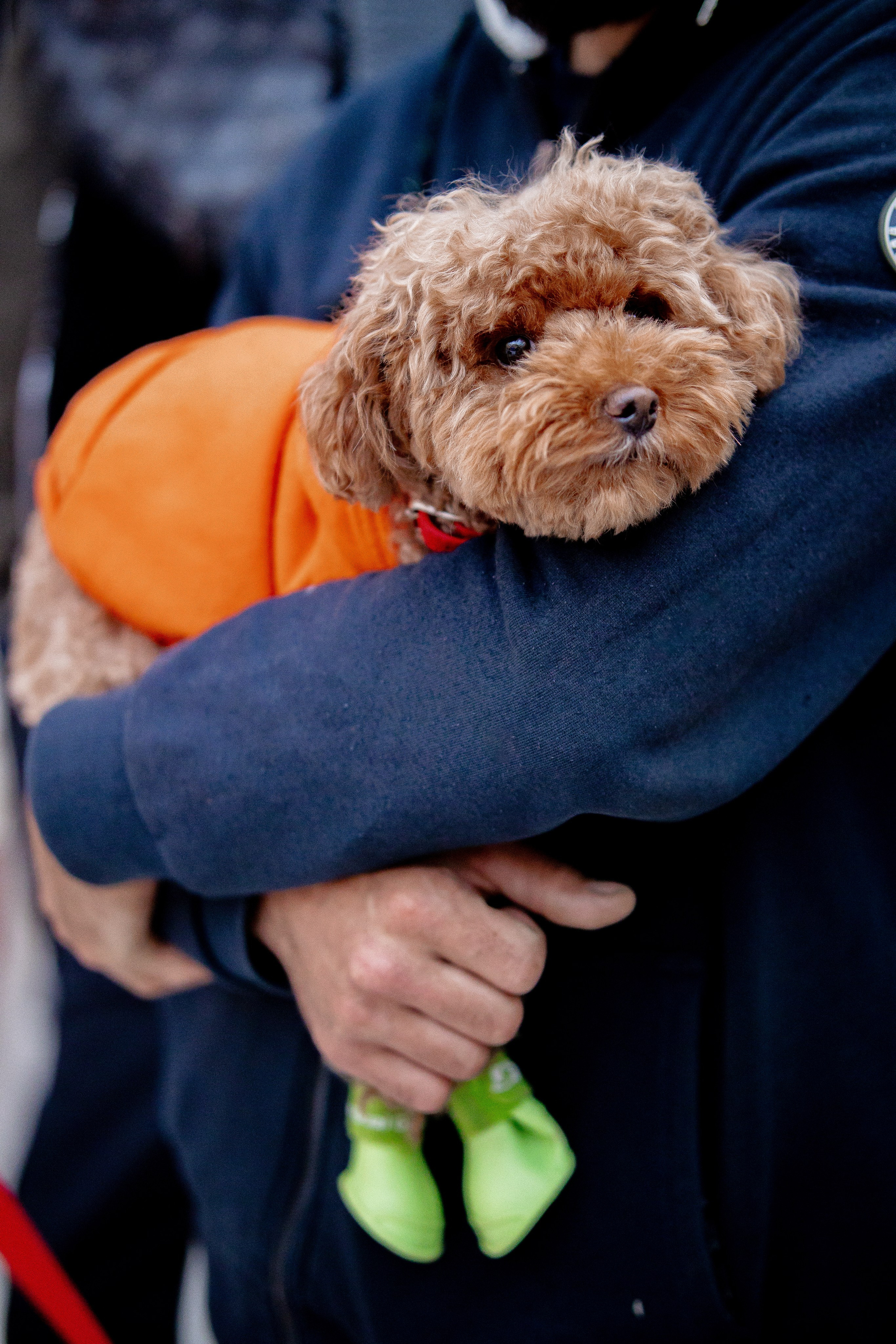 Miss office 2024 | Ekaterinburg VEERMALL. ФОТОГРАФ ЕКАТЕРИНБУРГ