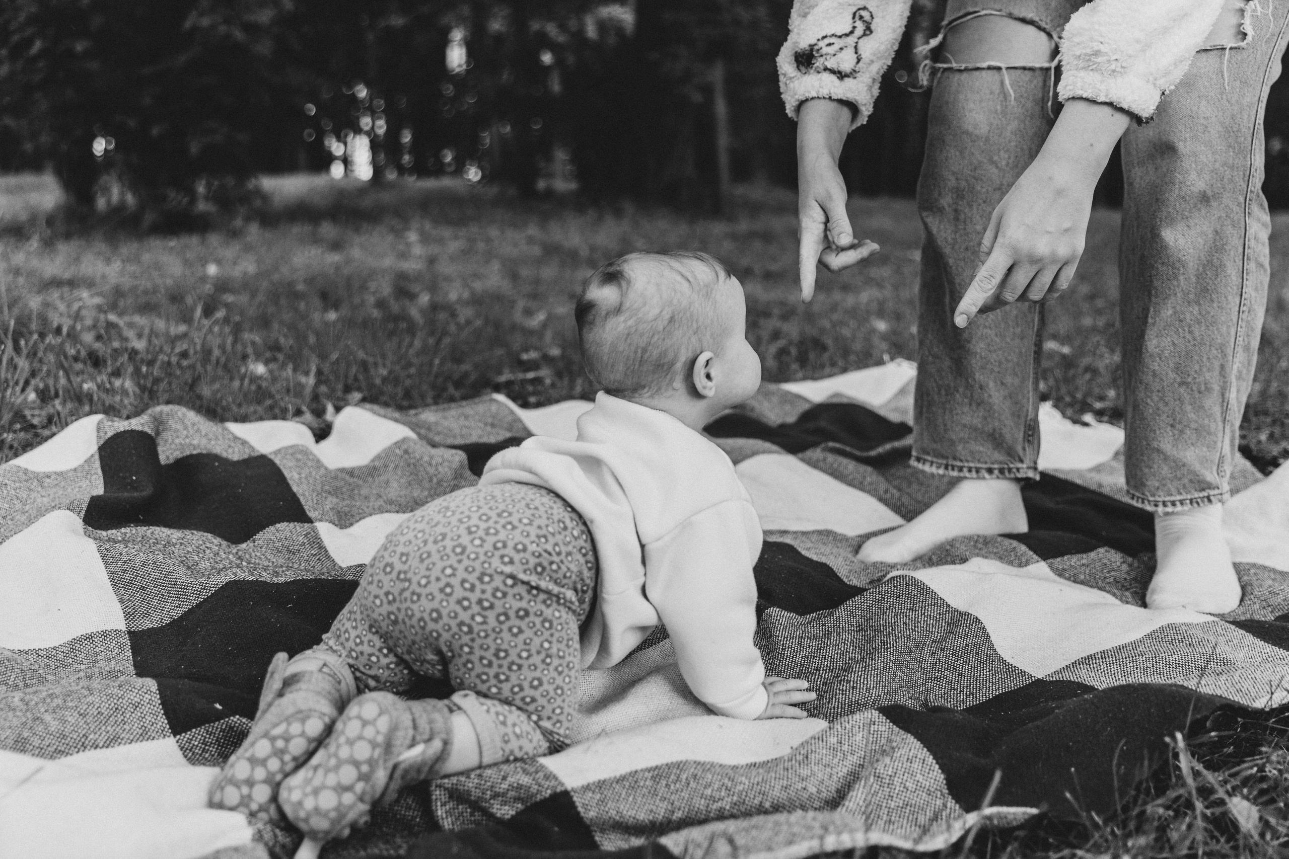 Аня, Вера, Кира и мама. Фотограф-анималист в Москве Соломонова Варвара