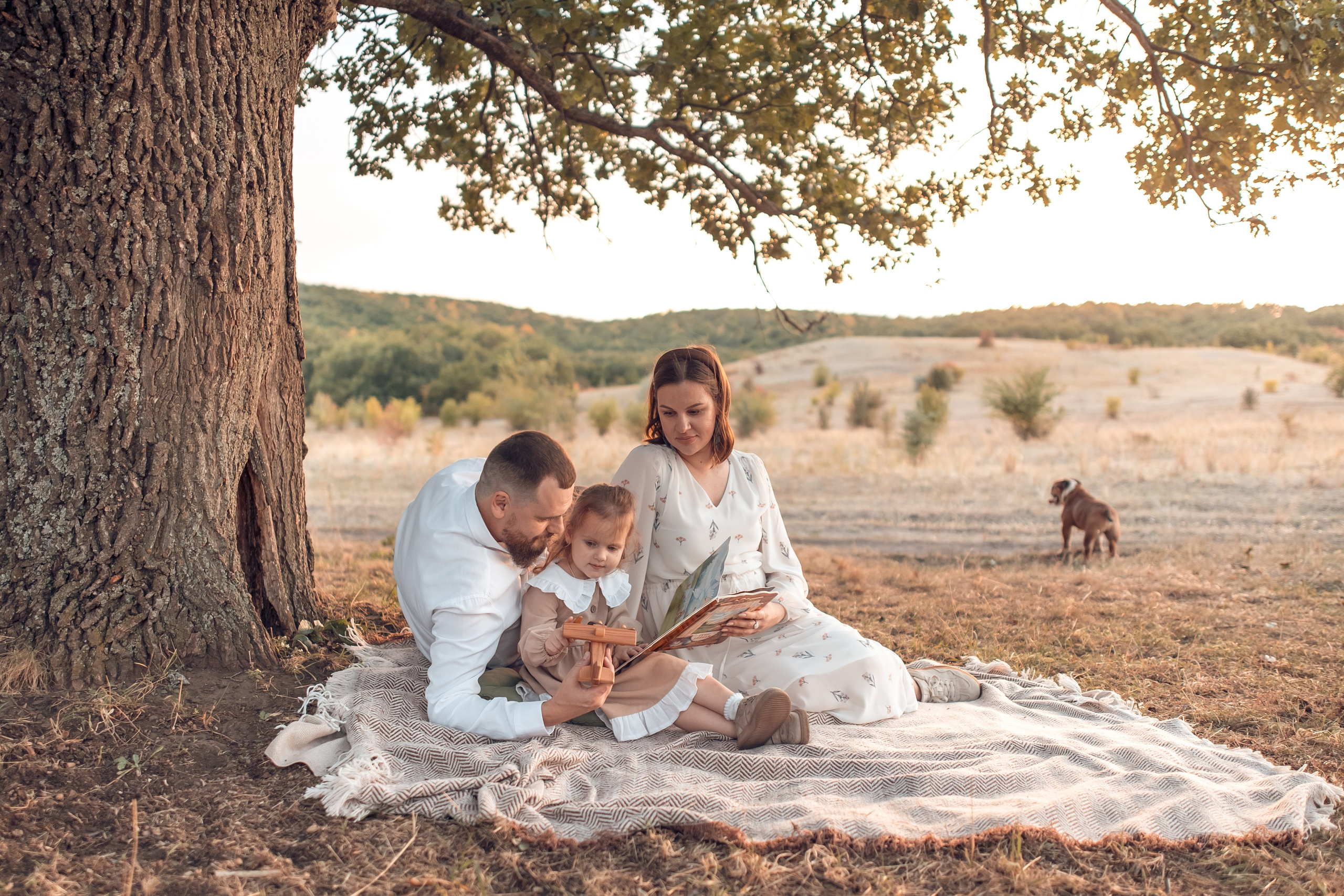 Прогулка в Широком. Главная