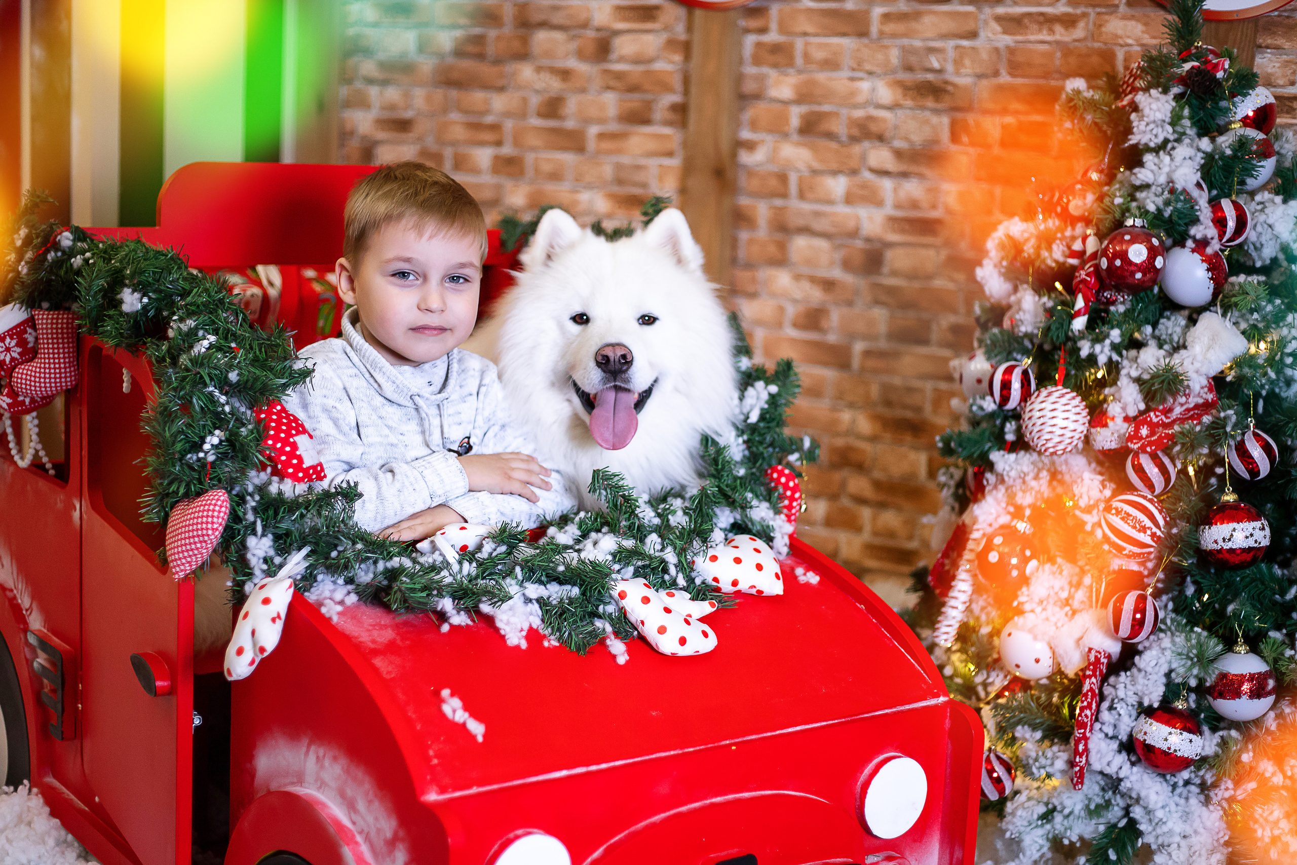 Новогодние фотосессии 2023. Выпускной альбом Шахты Ростов