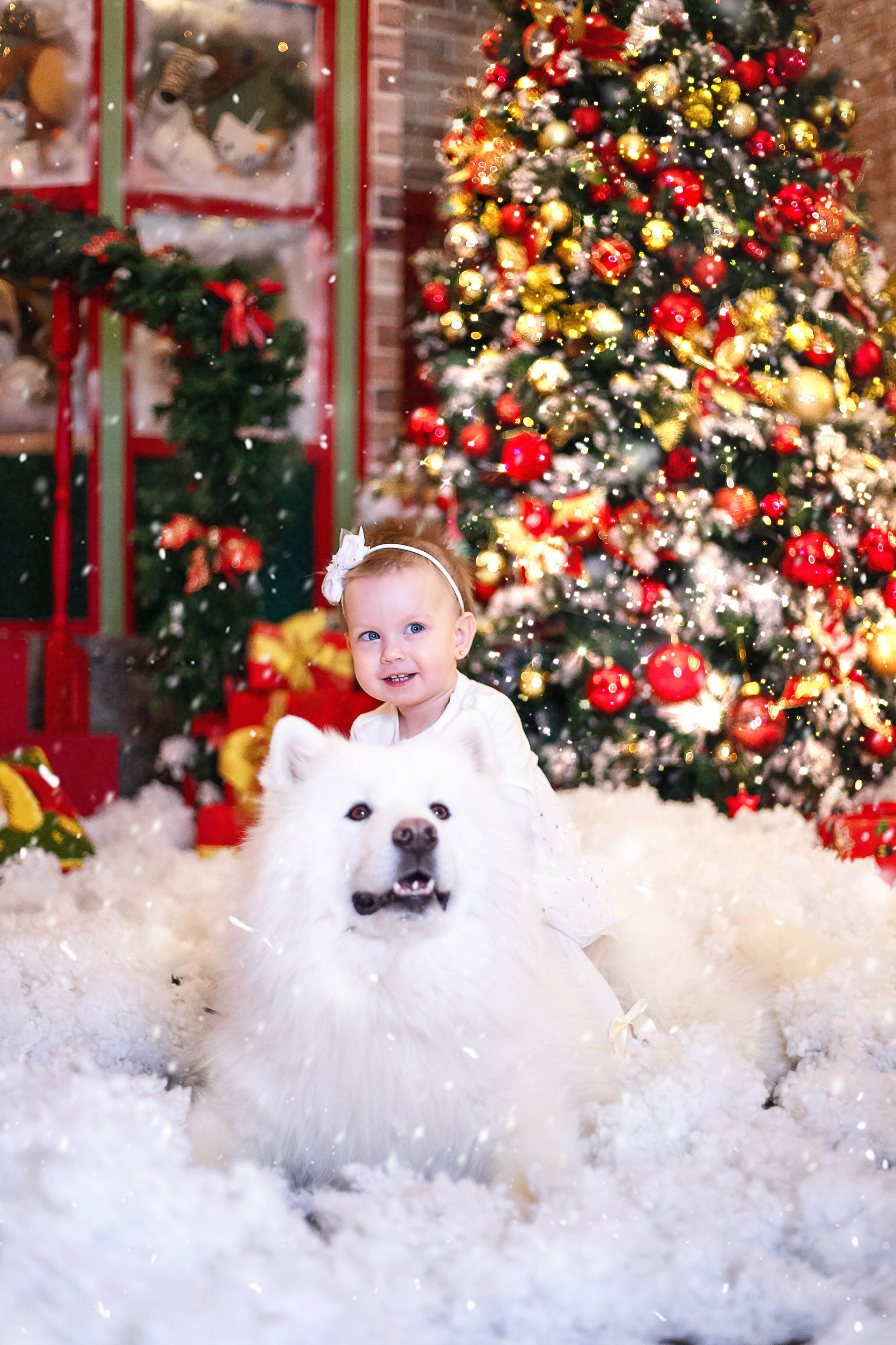 Новогодние фотосессии 2023. Выпускной альбом Шахты Ростов