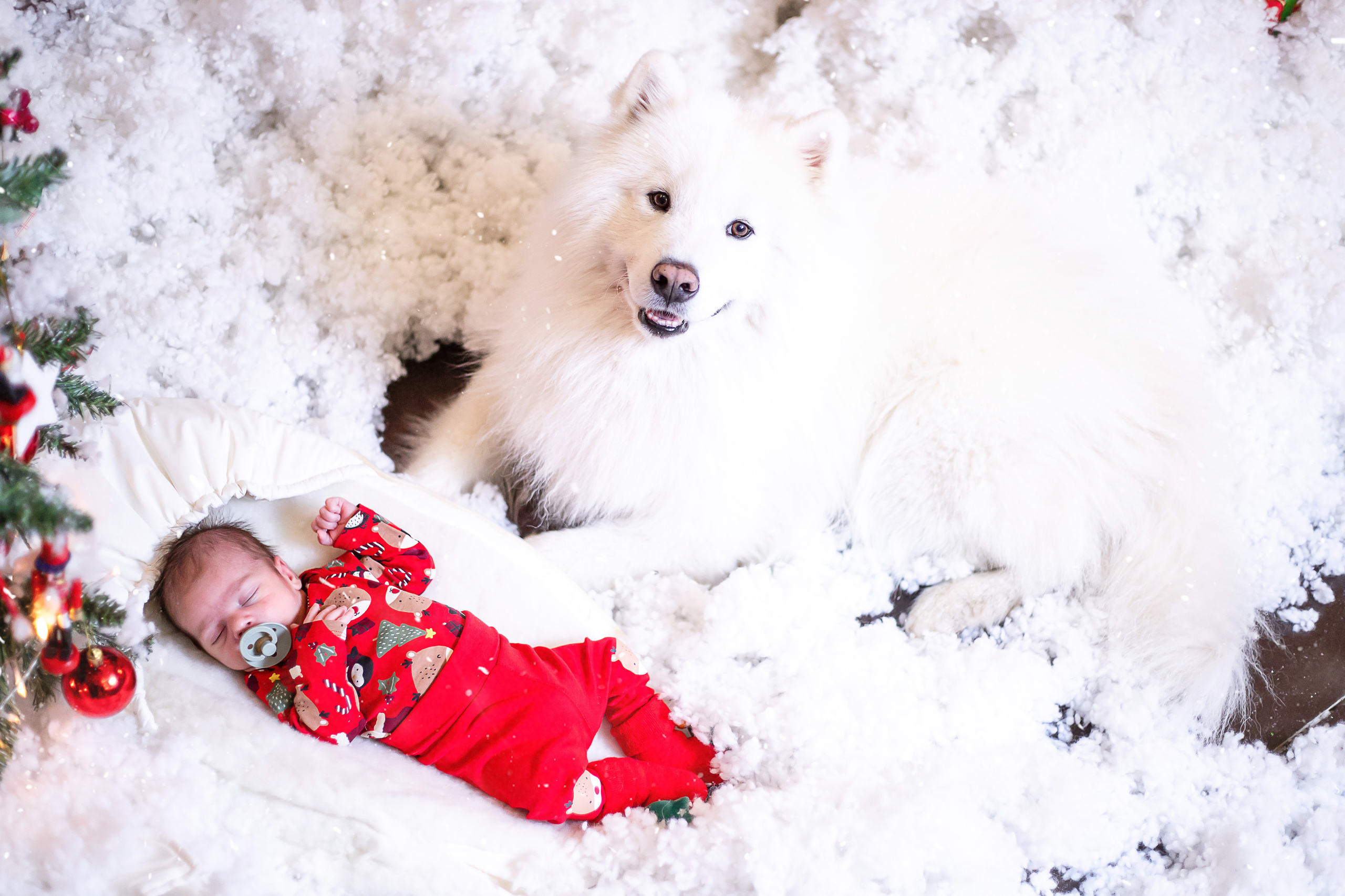 Новогодние фотосессии 2023. Выпускной альбом Шахты Ростов