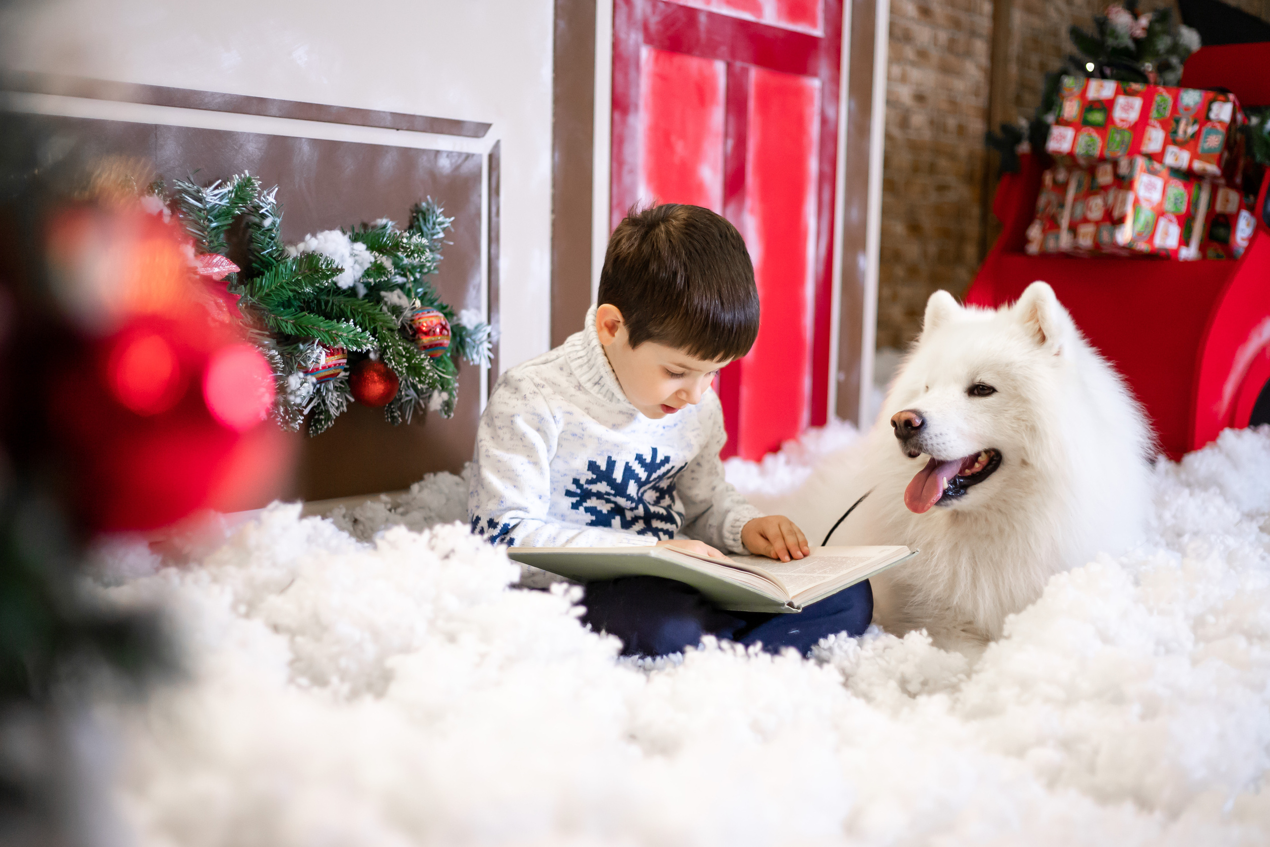 Новогодние фотосессии 2023. Выпускной альбом Шахты Ростов
