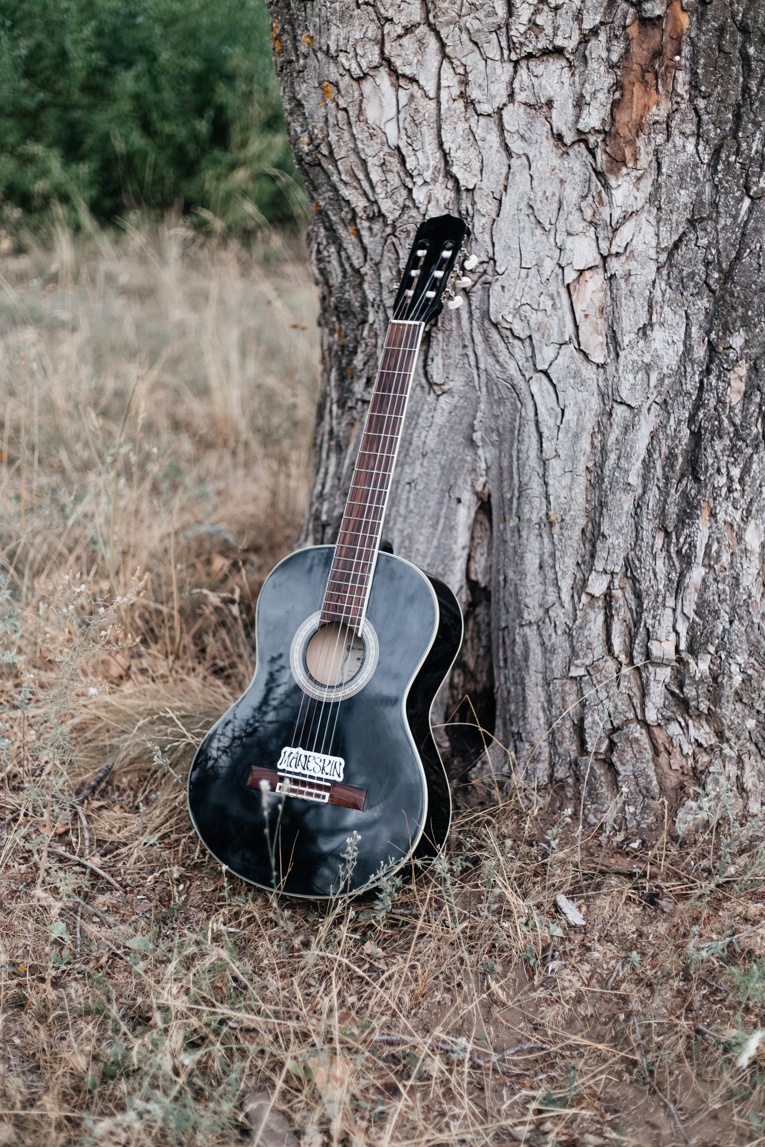 Прогулка в лесу. Выпускной альбом Шахты Ростов