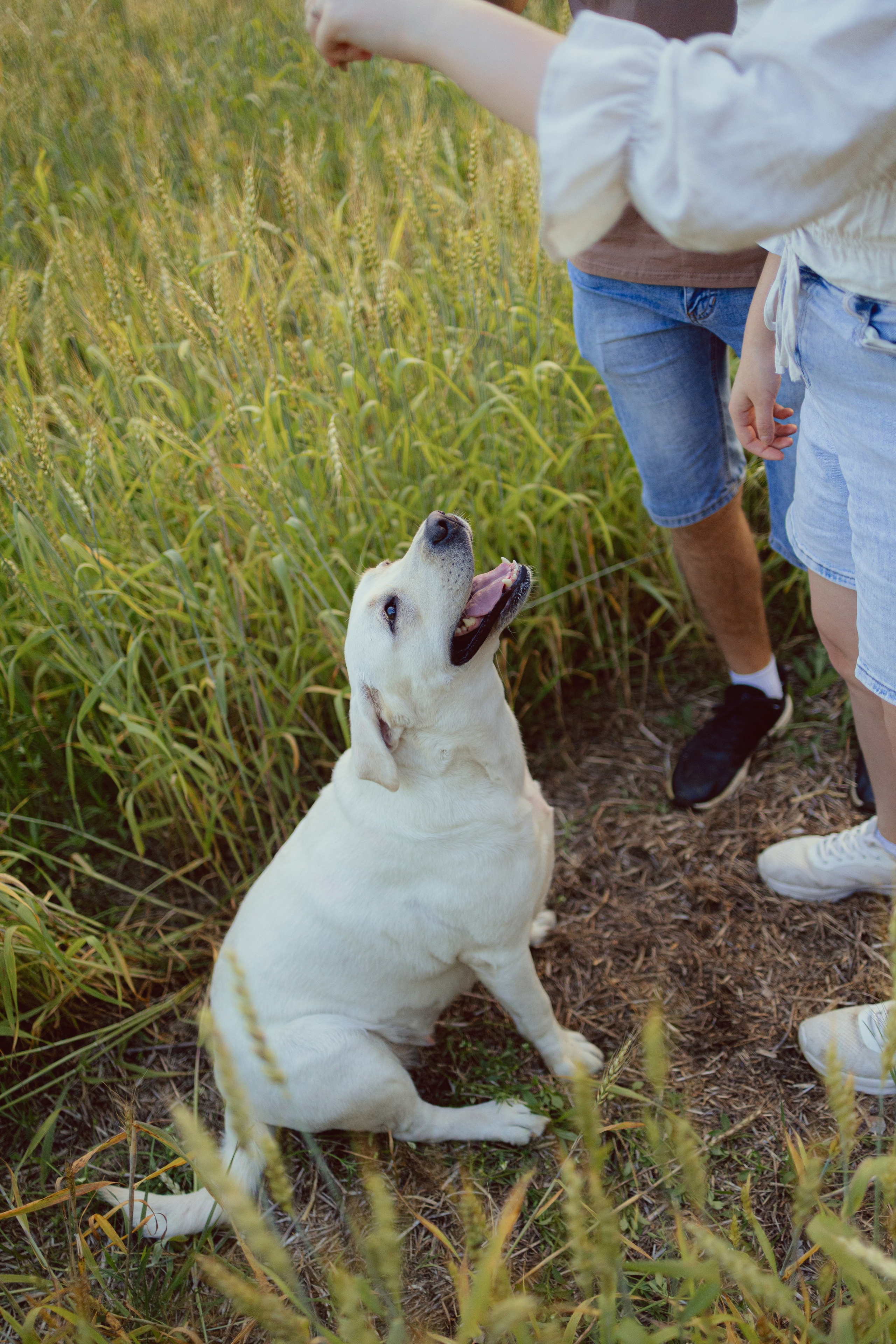 Люба и Иван. Семейный фотограф в Дзержинске Наталья Лаэтина