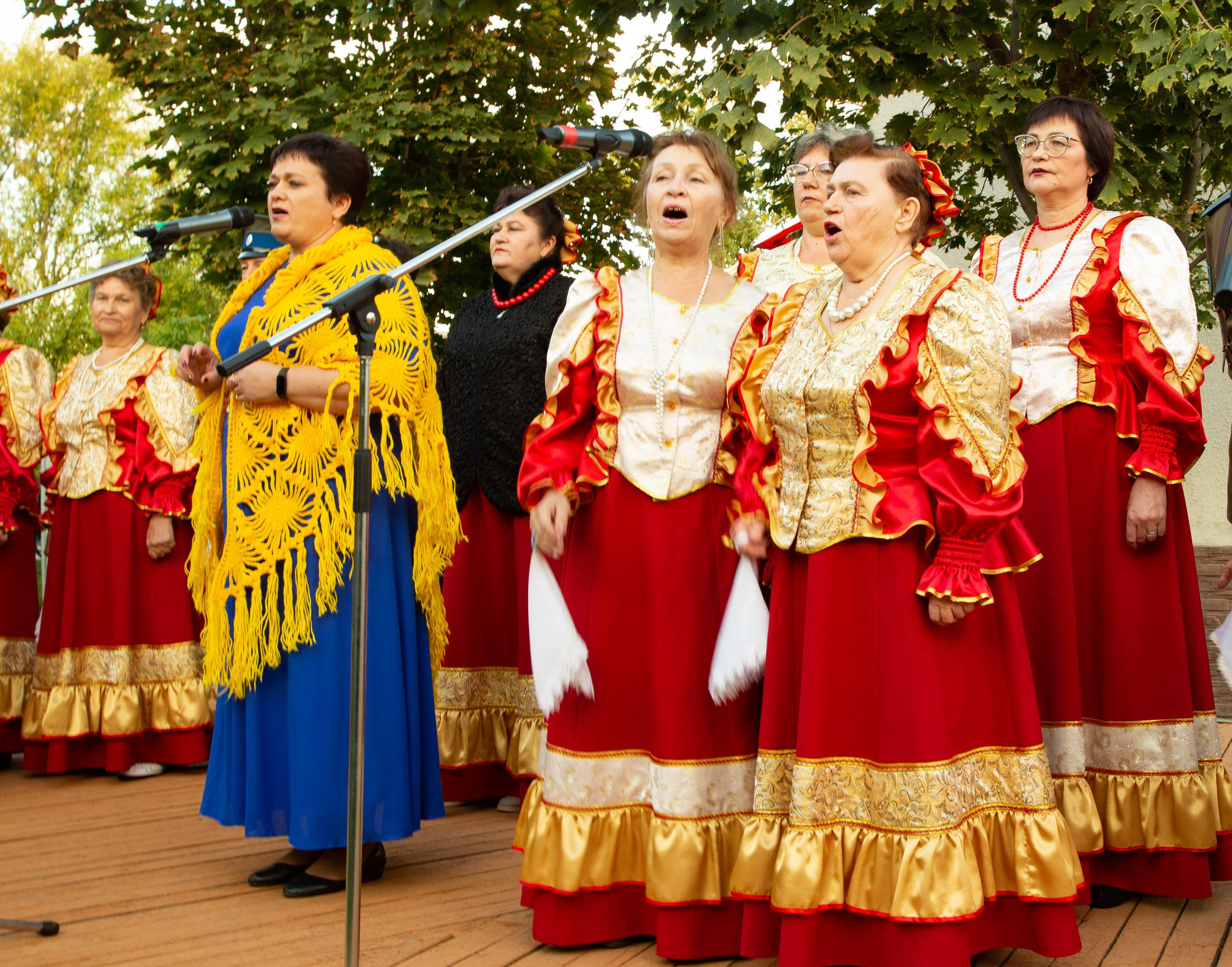 Лето в парке. Кардаиловский народный хор. Валерий Логачев. Фото, музыка, видео — для души