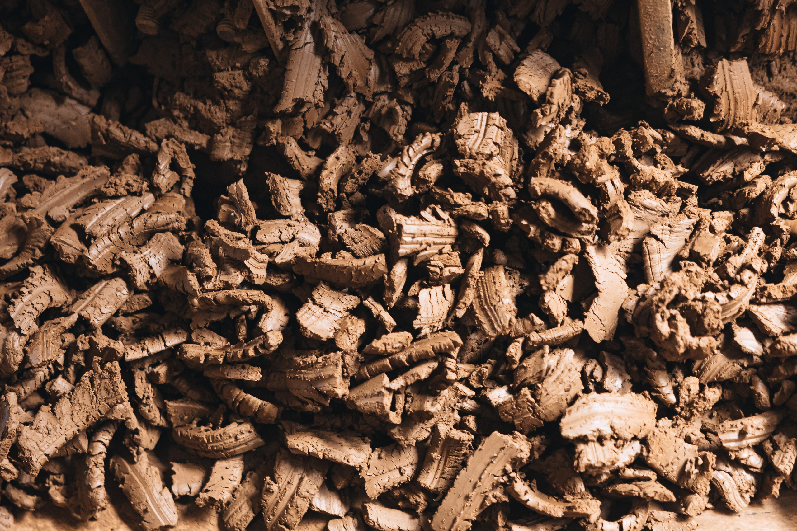 BKK. The content is a survey of the factory. KRIS KRUPINNIKOVA