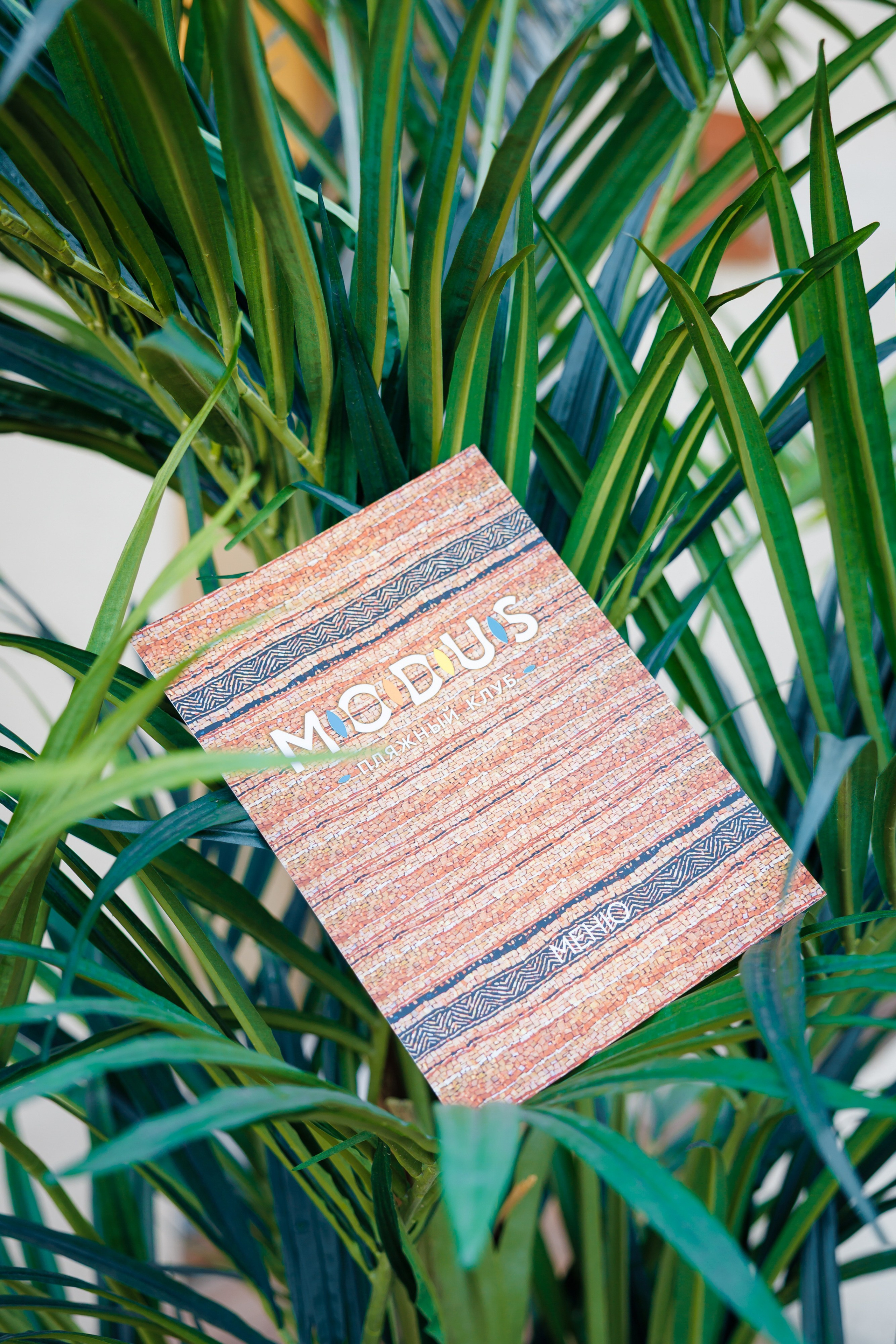 Events. Событийный и портретный фотограф в Москве — Адам Черноуски