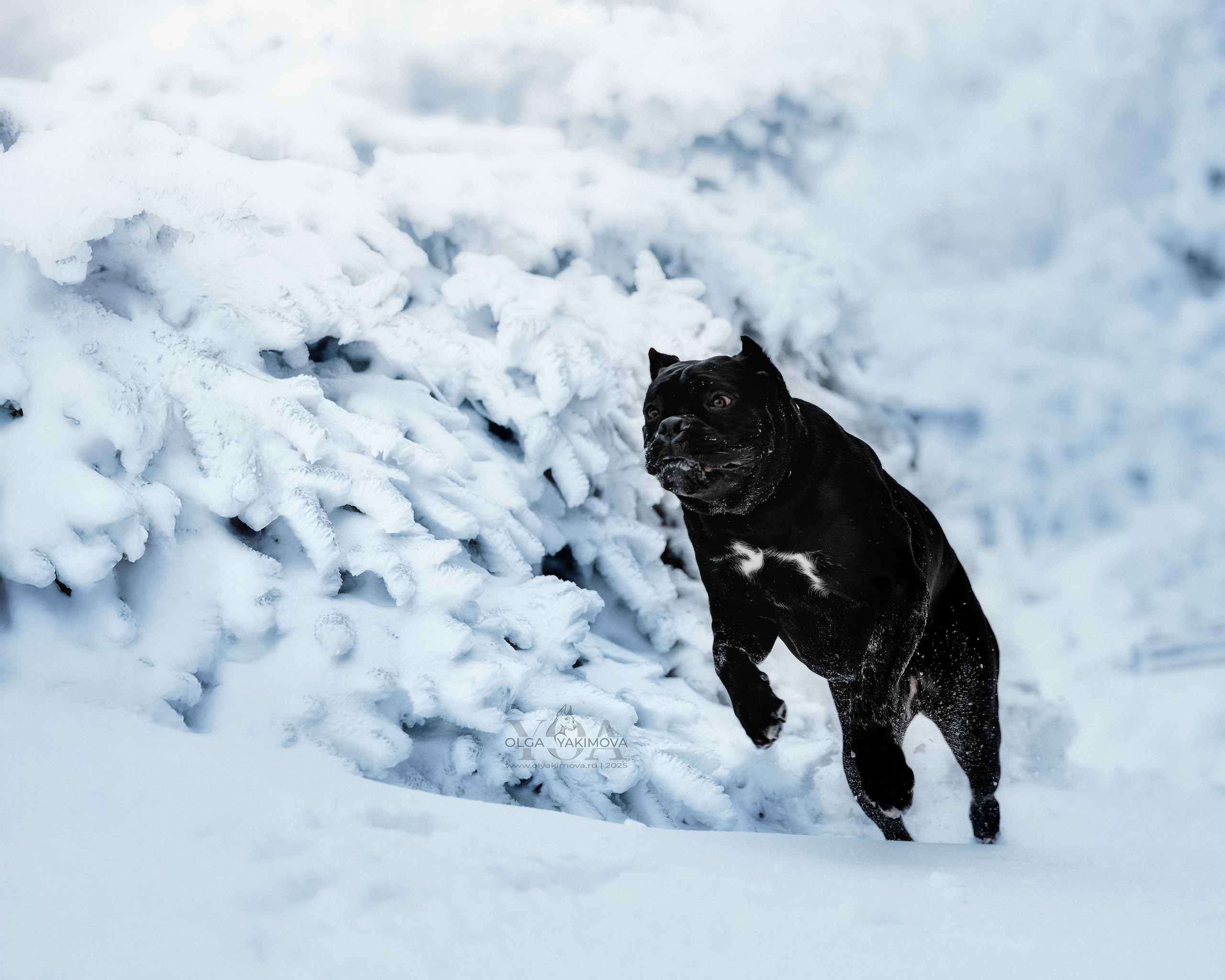 МАРИНА И САРА. Фотограф