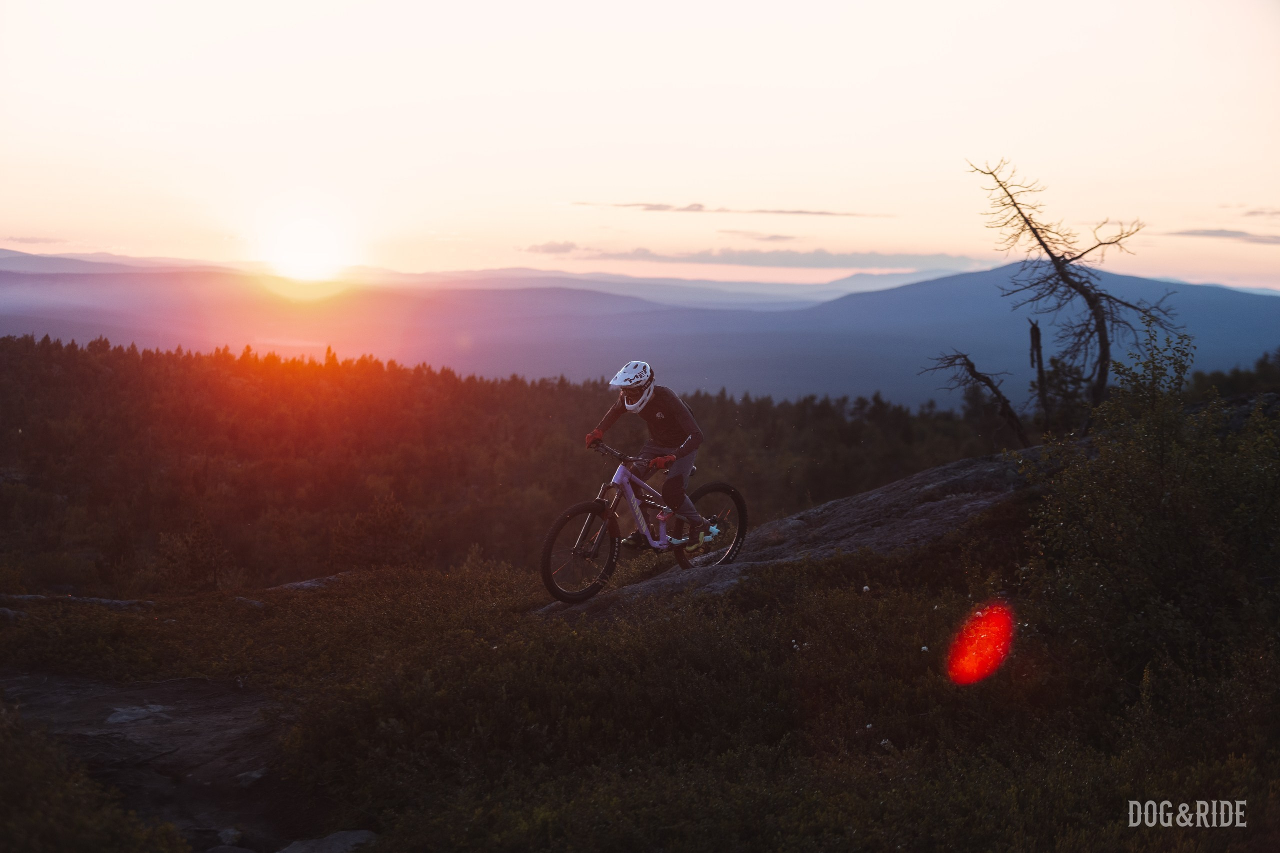 Кандалакшка. Фотограф анималист Никита Натальный