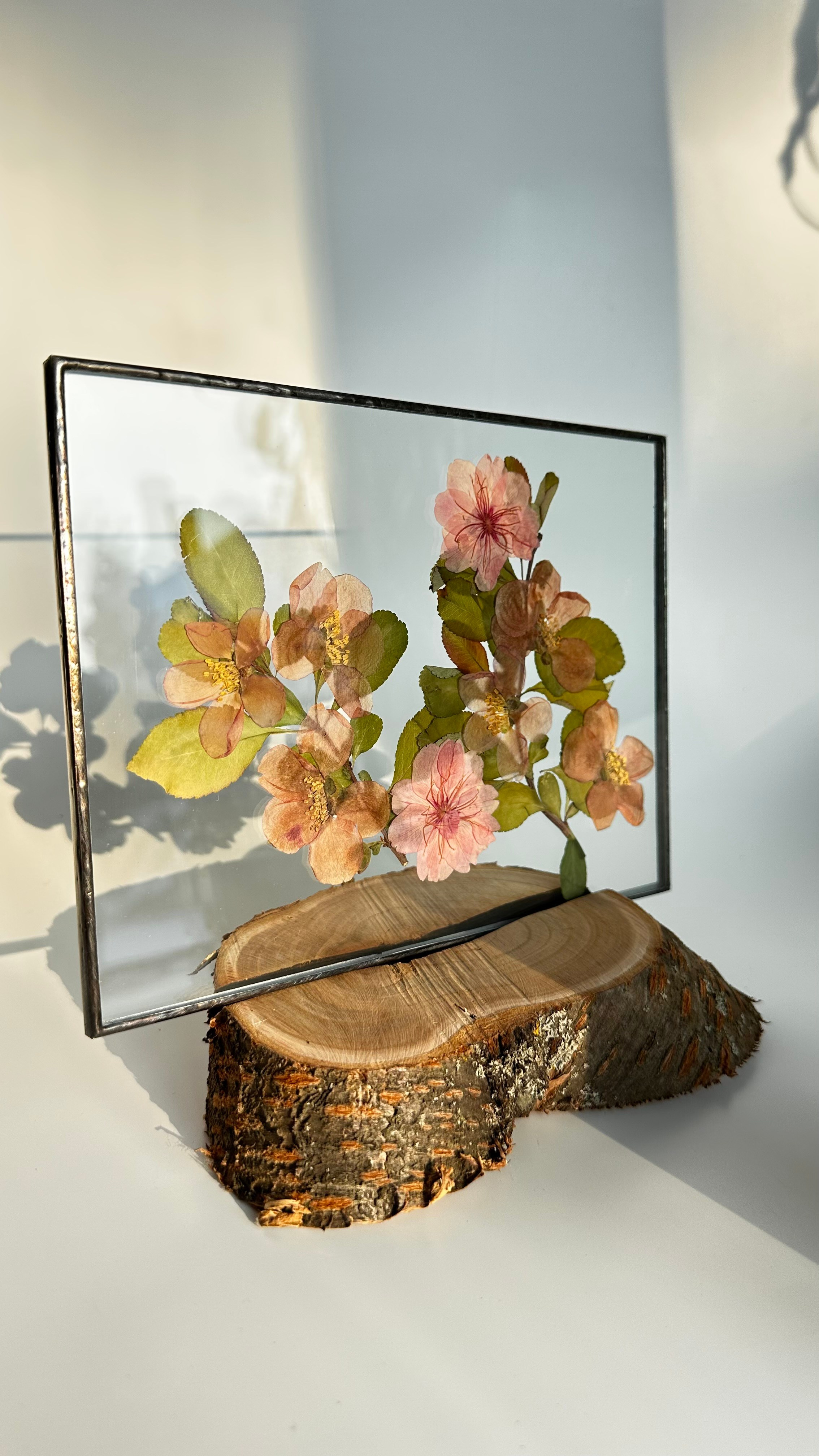 Гербарий в стекле с сухоцветами (витраж в технике тиффани). Гербарий в стекле, интерьерные панно, витражи с сухоцветами в технике тиффани