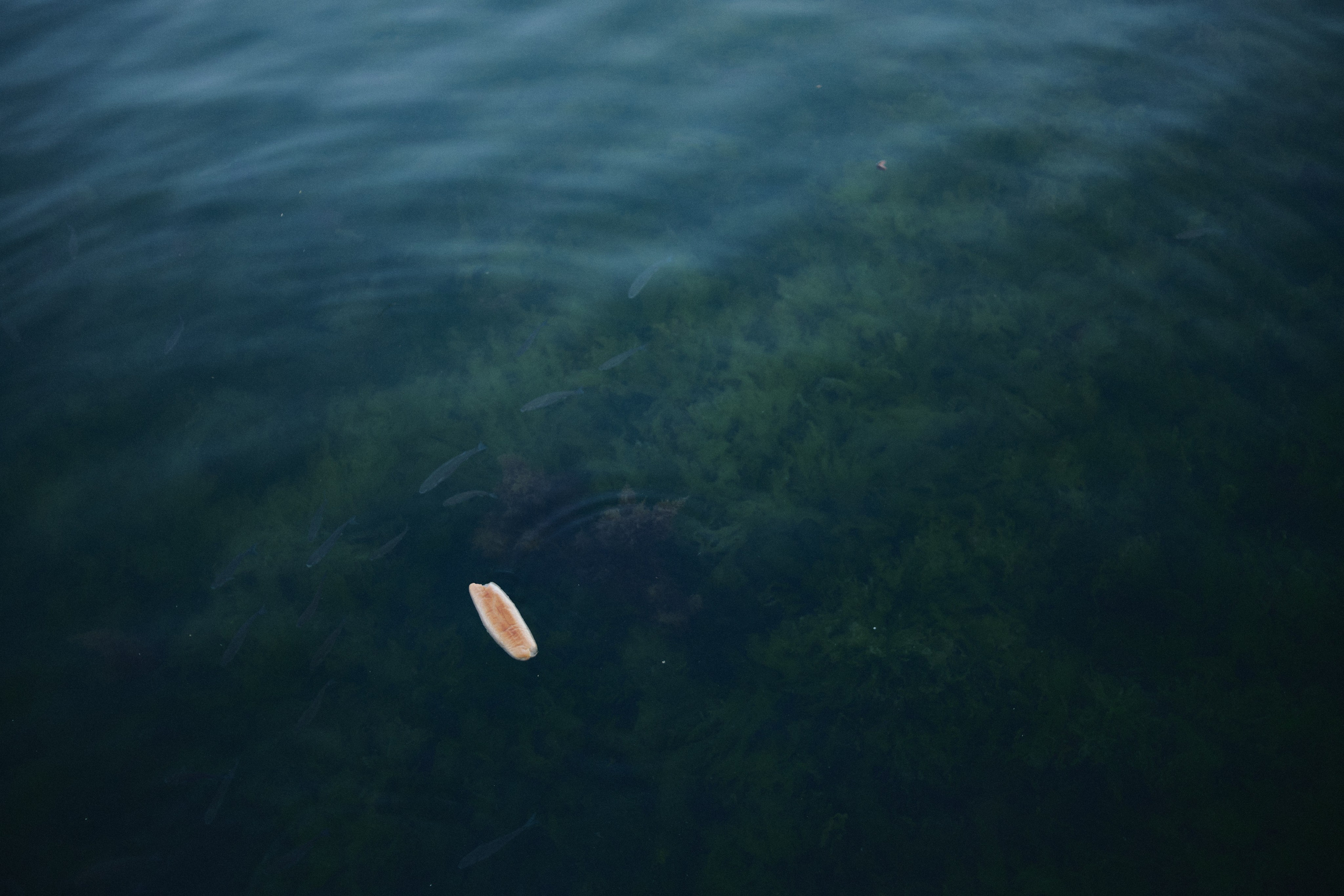 Улица горизонтальная. Jorgis — фотограф в Хургаде / обучение фотографии