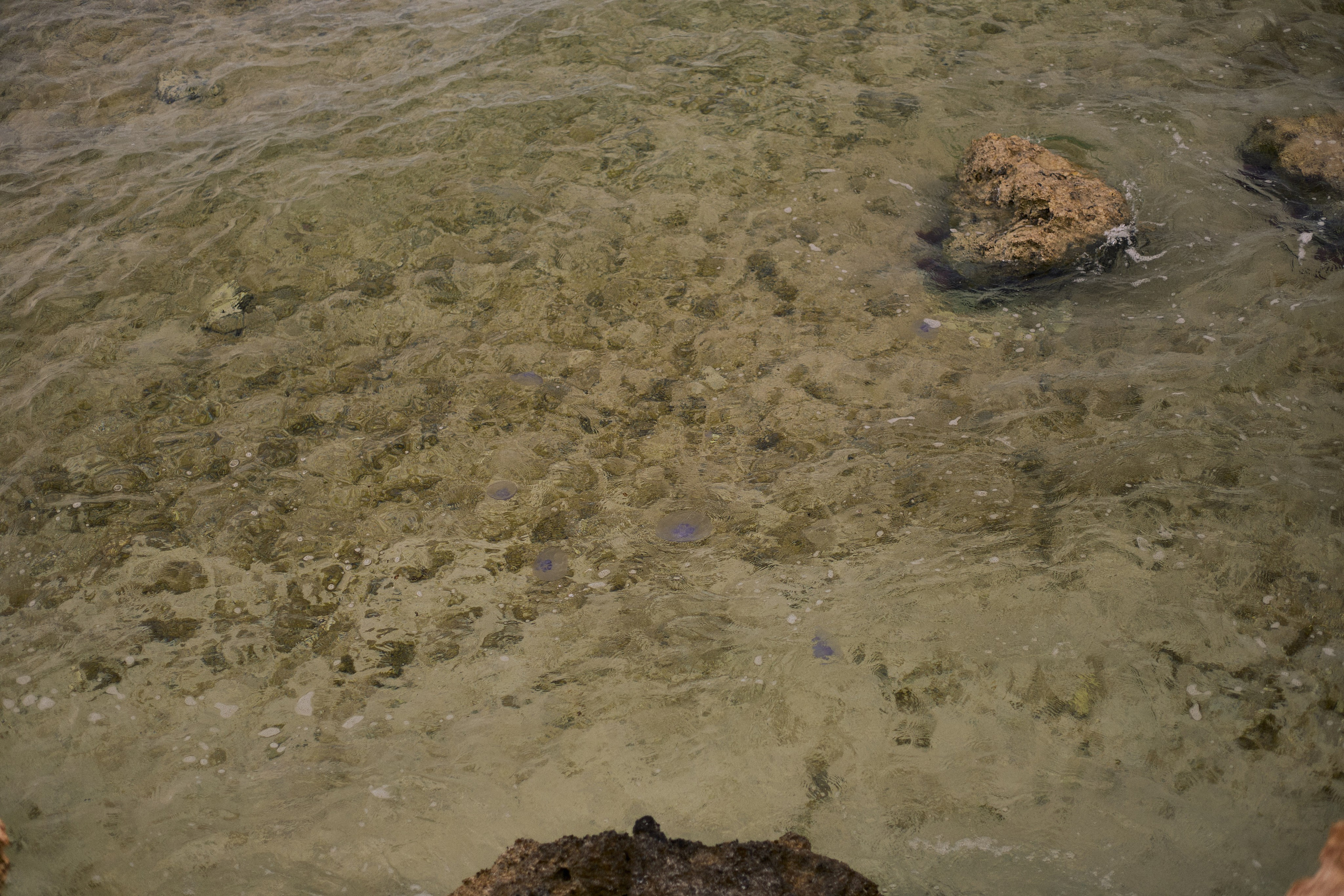 Улица горизонтальная. Jorgis — фотограф в Хургаде / обучение фотографии