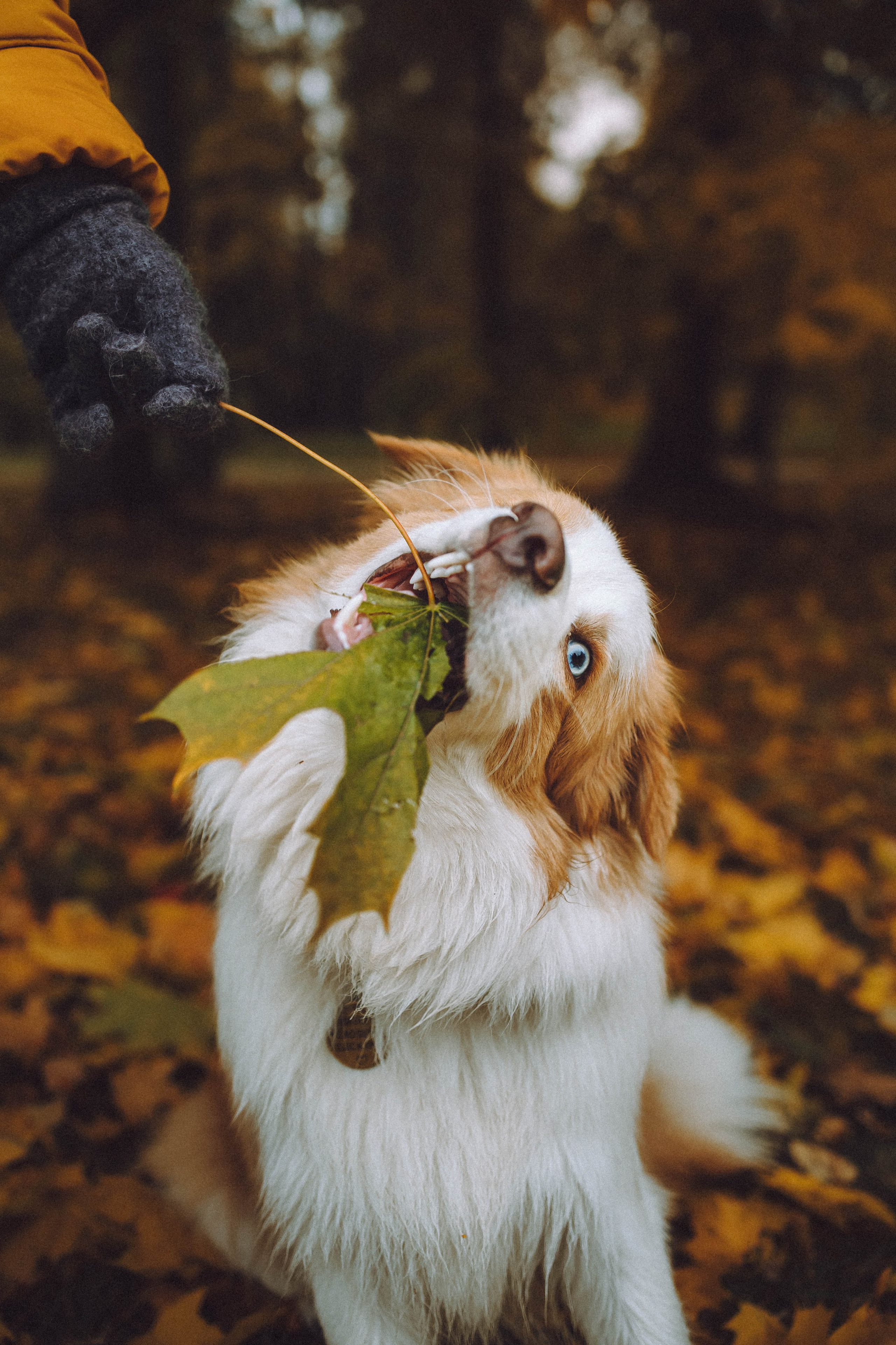 Алина, Витя и Асти