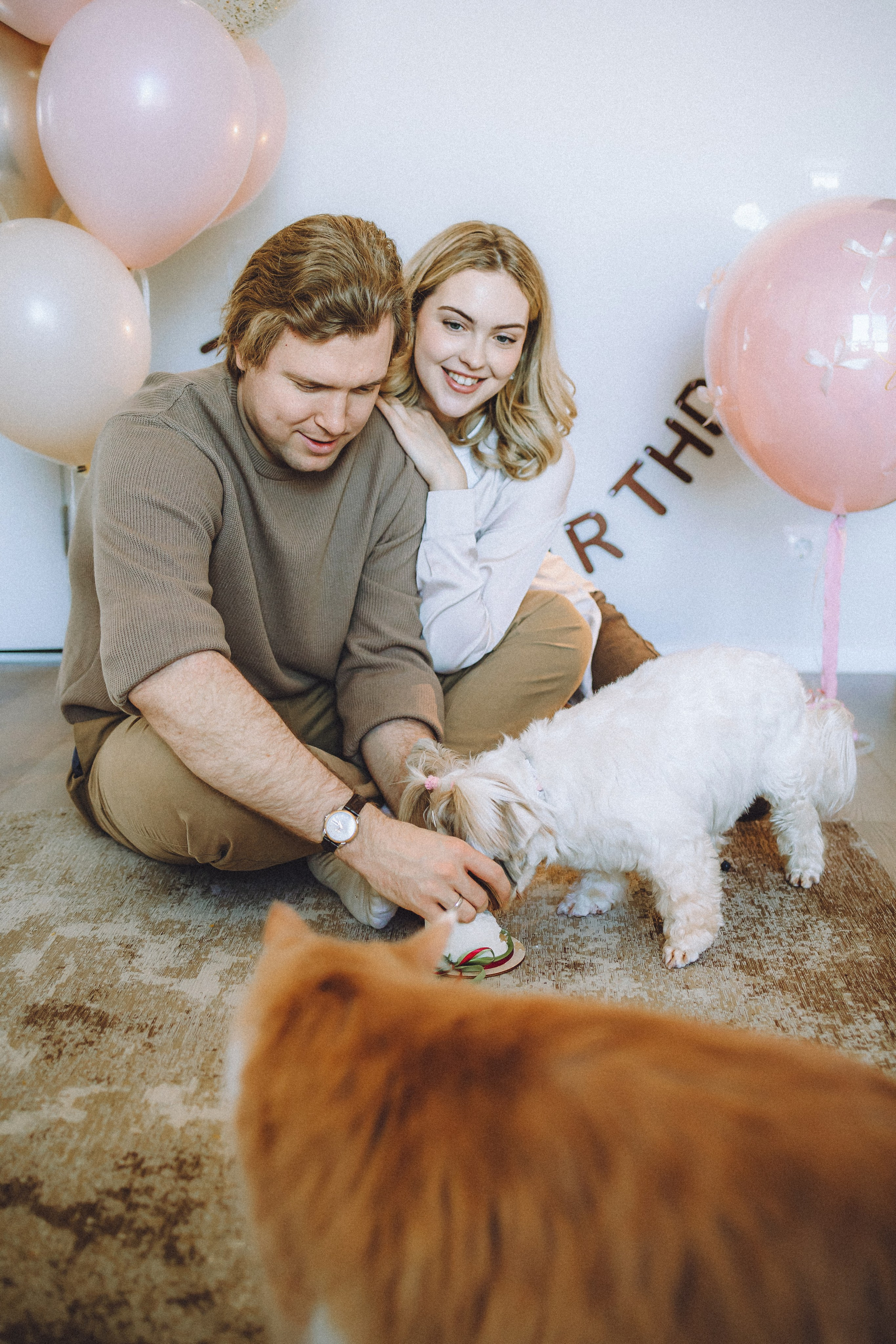 День Рождения Шу