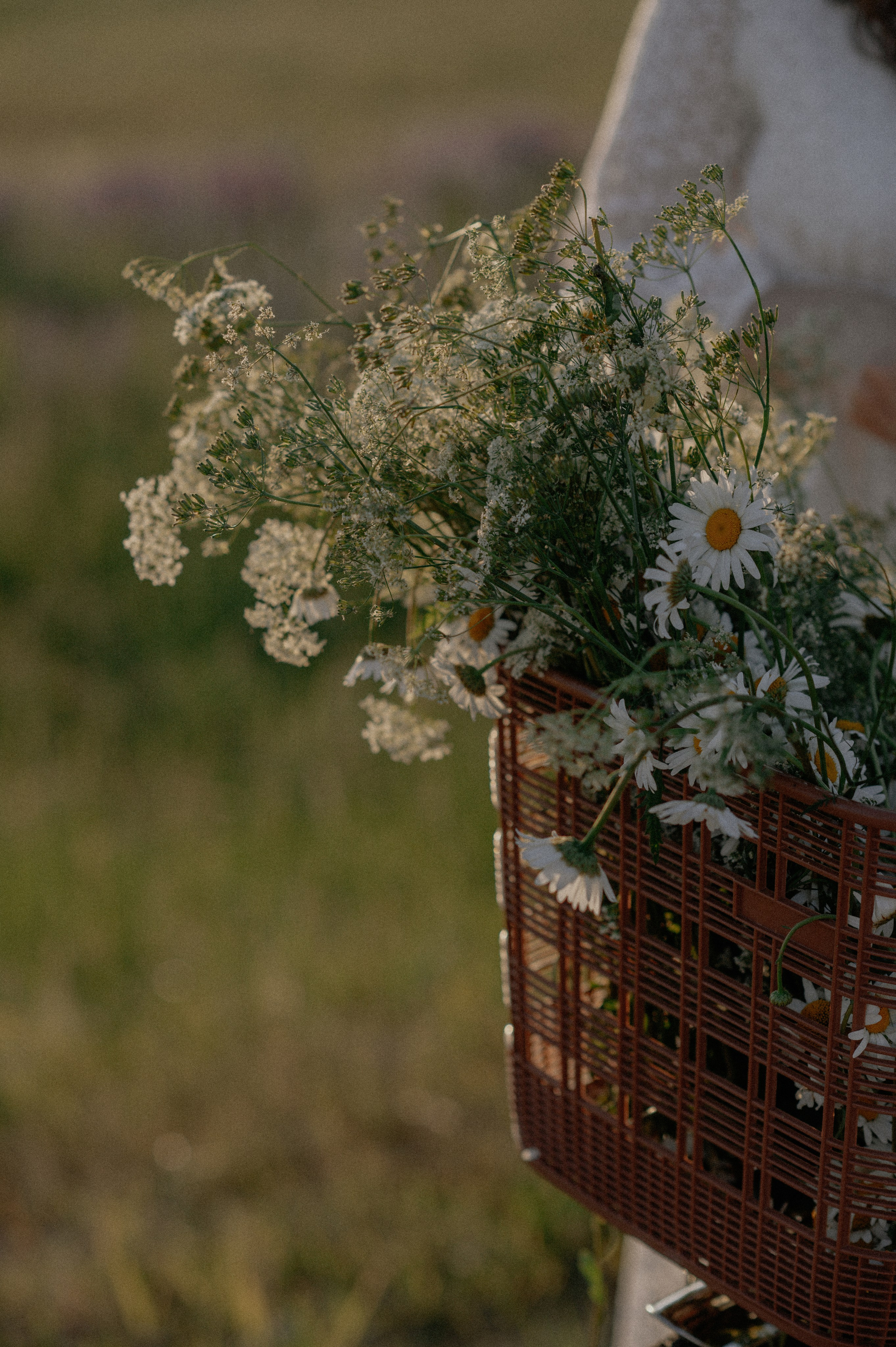 P&L. Свадебный фотограф МОСКВА, КРЫМ, СМОЛЕНСК АЛЯ КОНОВАЛОВА