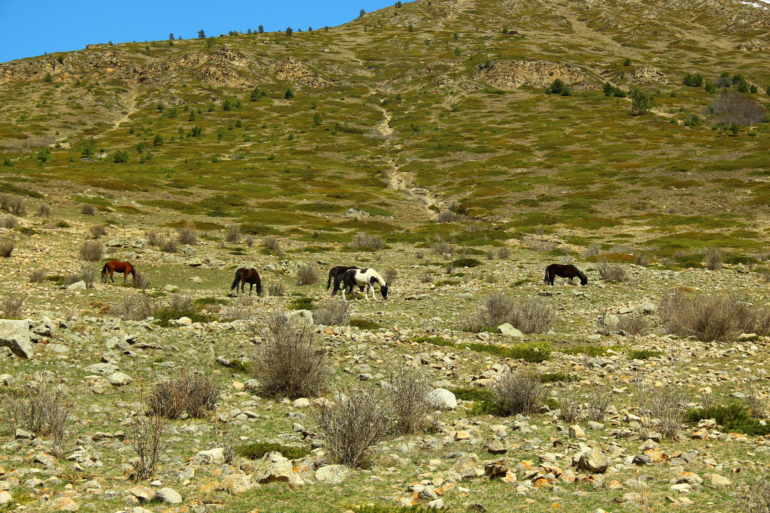 Лучше гор могут быть только горы…. Фотограф из Донецка Александр Турко