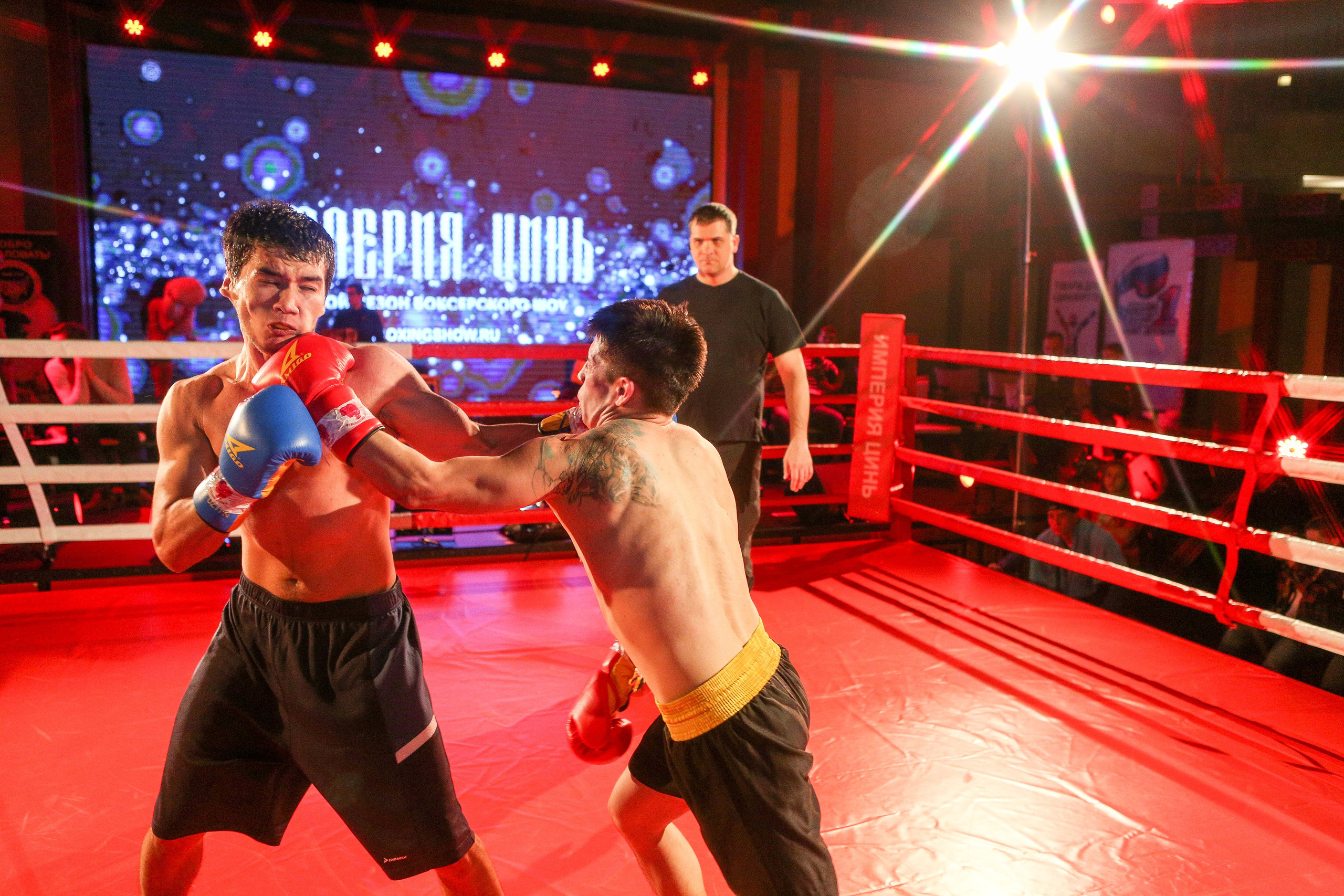БОКС Империя Цынь, турнир первый. Фотограф Александр Заломаев