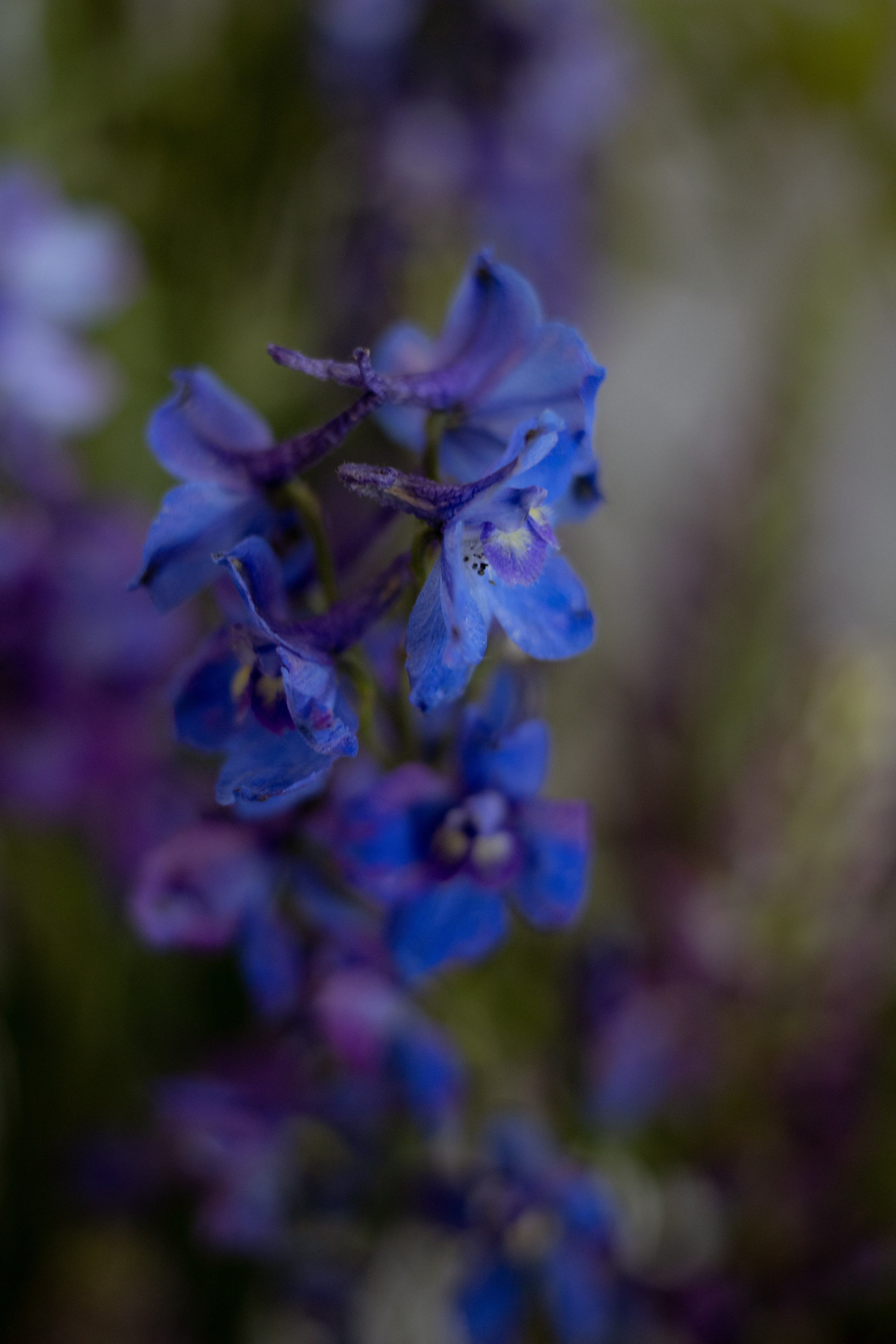 «Московское небо». Оформление свадеб, декор свадеб Вера Маркова, Москва