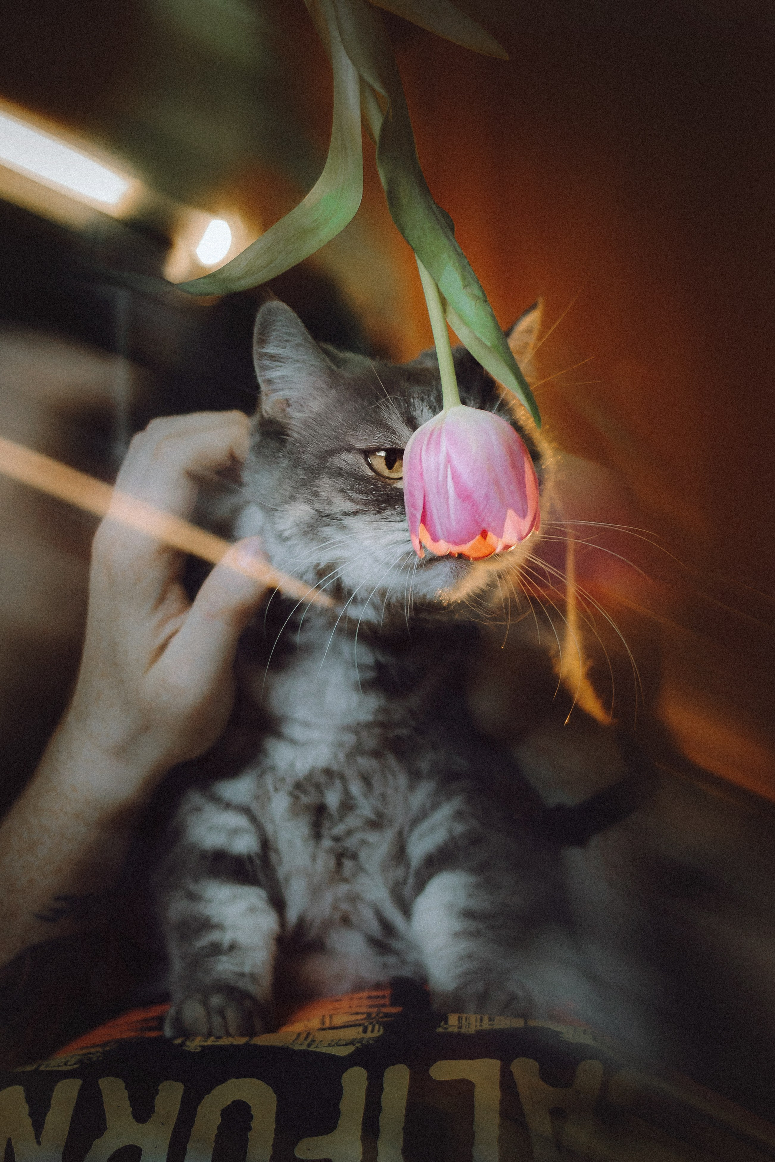 Яся и ее семья