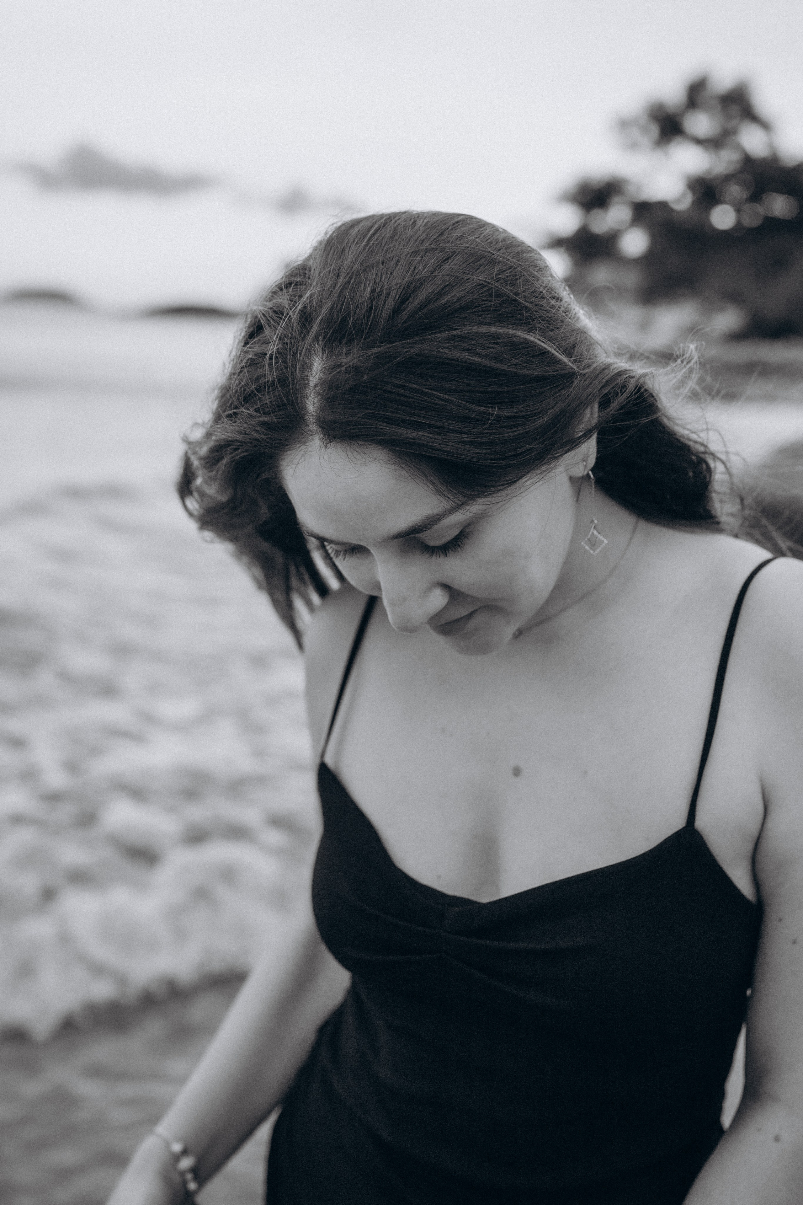 Лилия «сад камней» Вьетнам. Главная