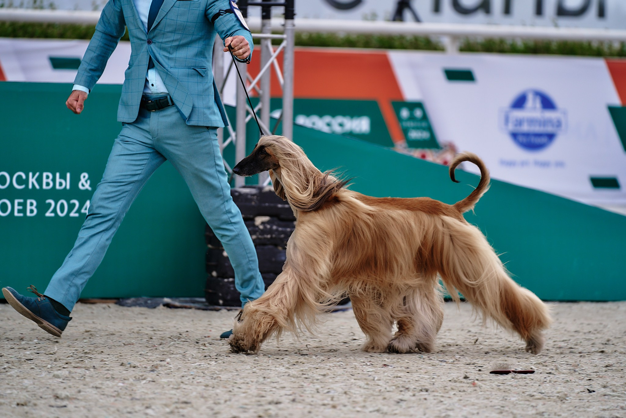 09.06.2024, «РОССИЯ. КУБОК МОСКВЫ 2024 & КУБОК ГОРОДОВ-ГЕРОЕВ»