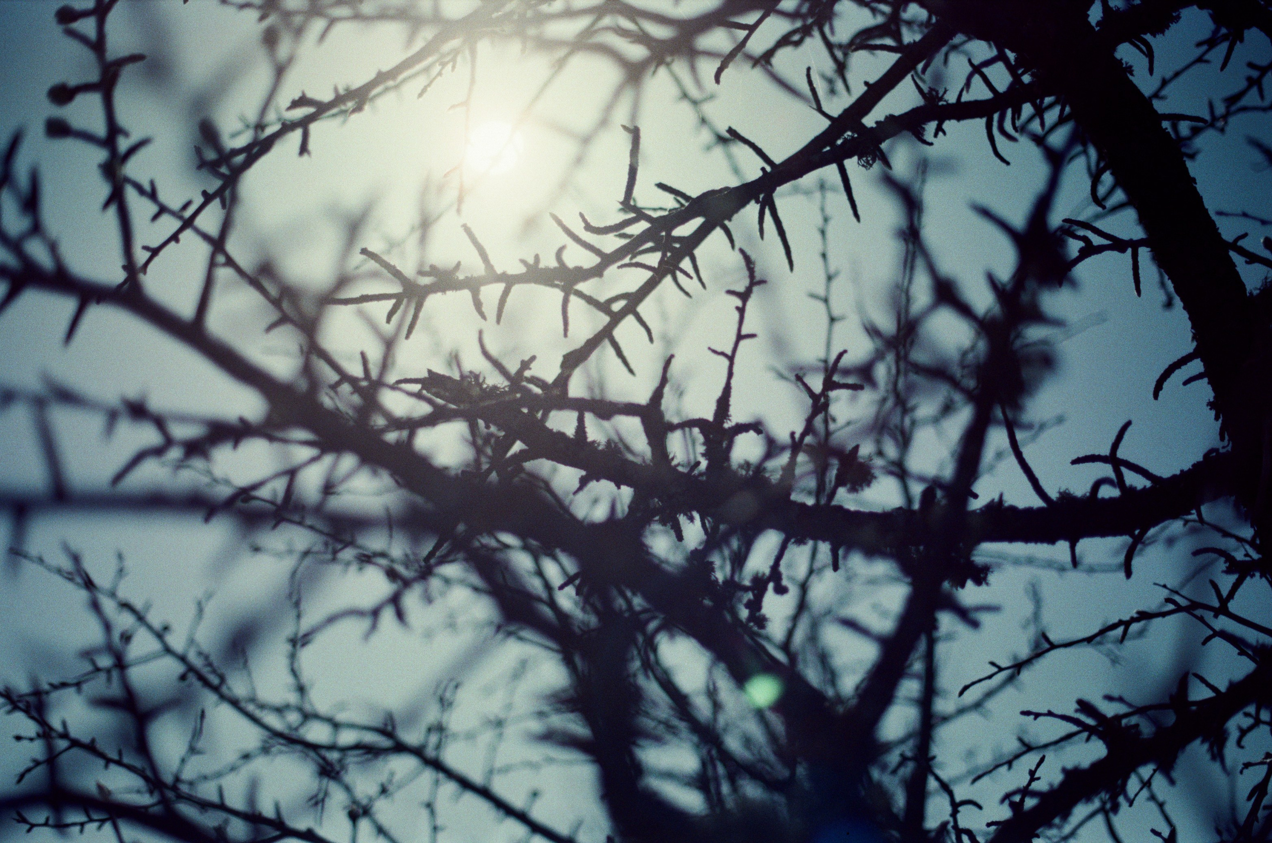 Some kind of madness // ukraine, crimea III. EVER EXPOSED