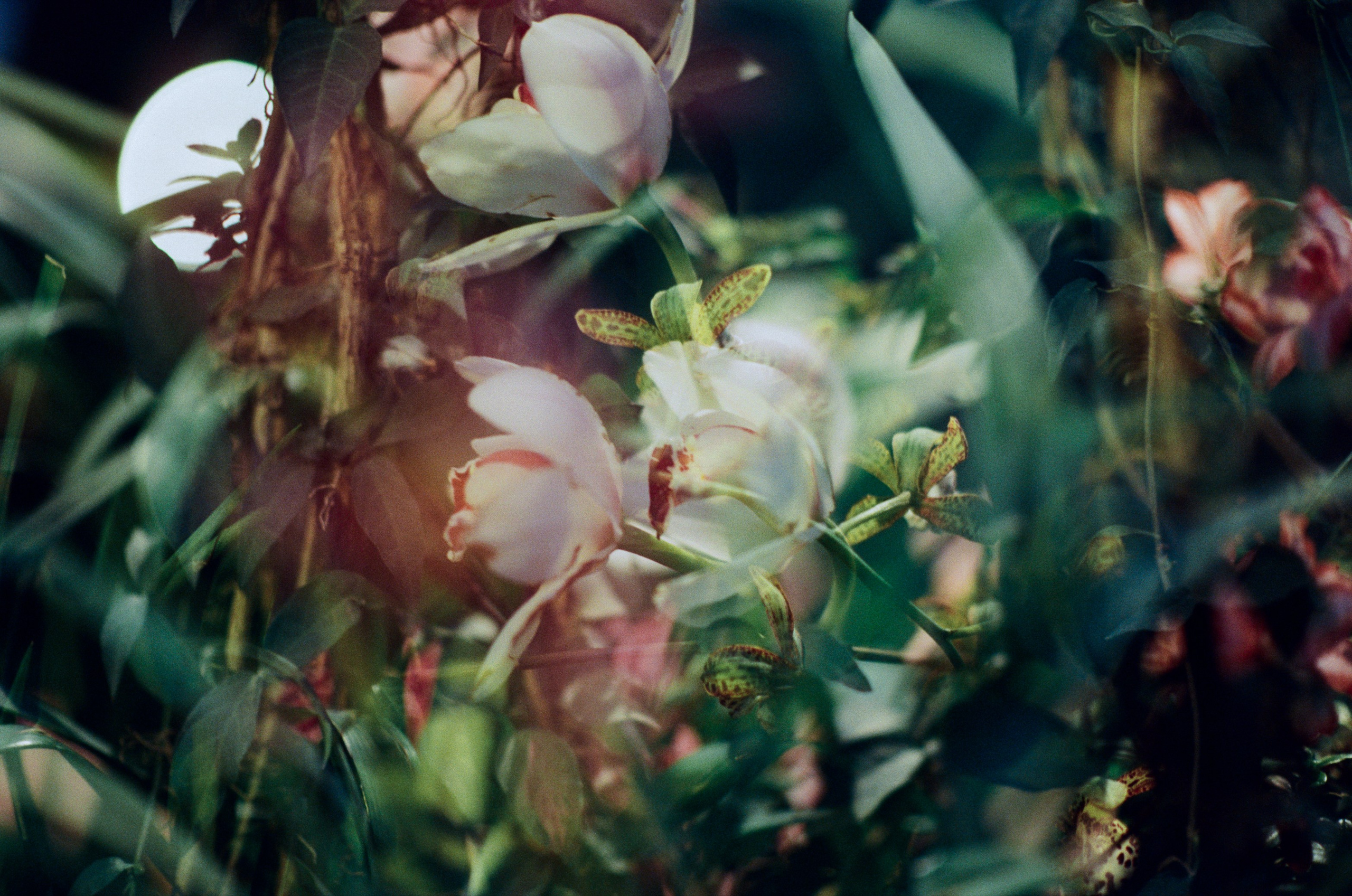 If i get high III. EVER EXPOSED