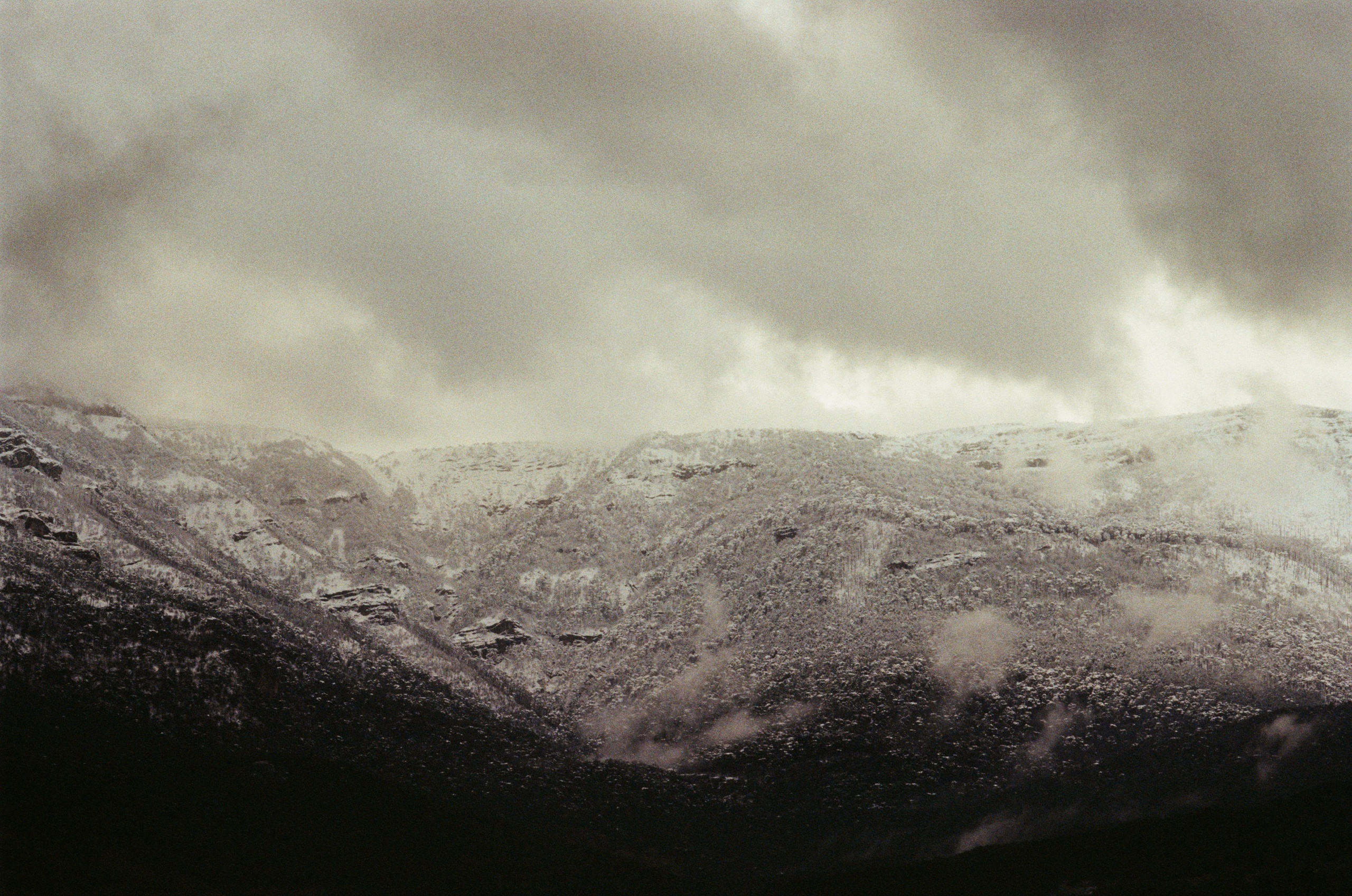 Sakura blues // ukraine, crimea II. EVER EXPOSED