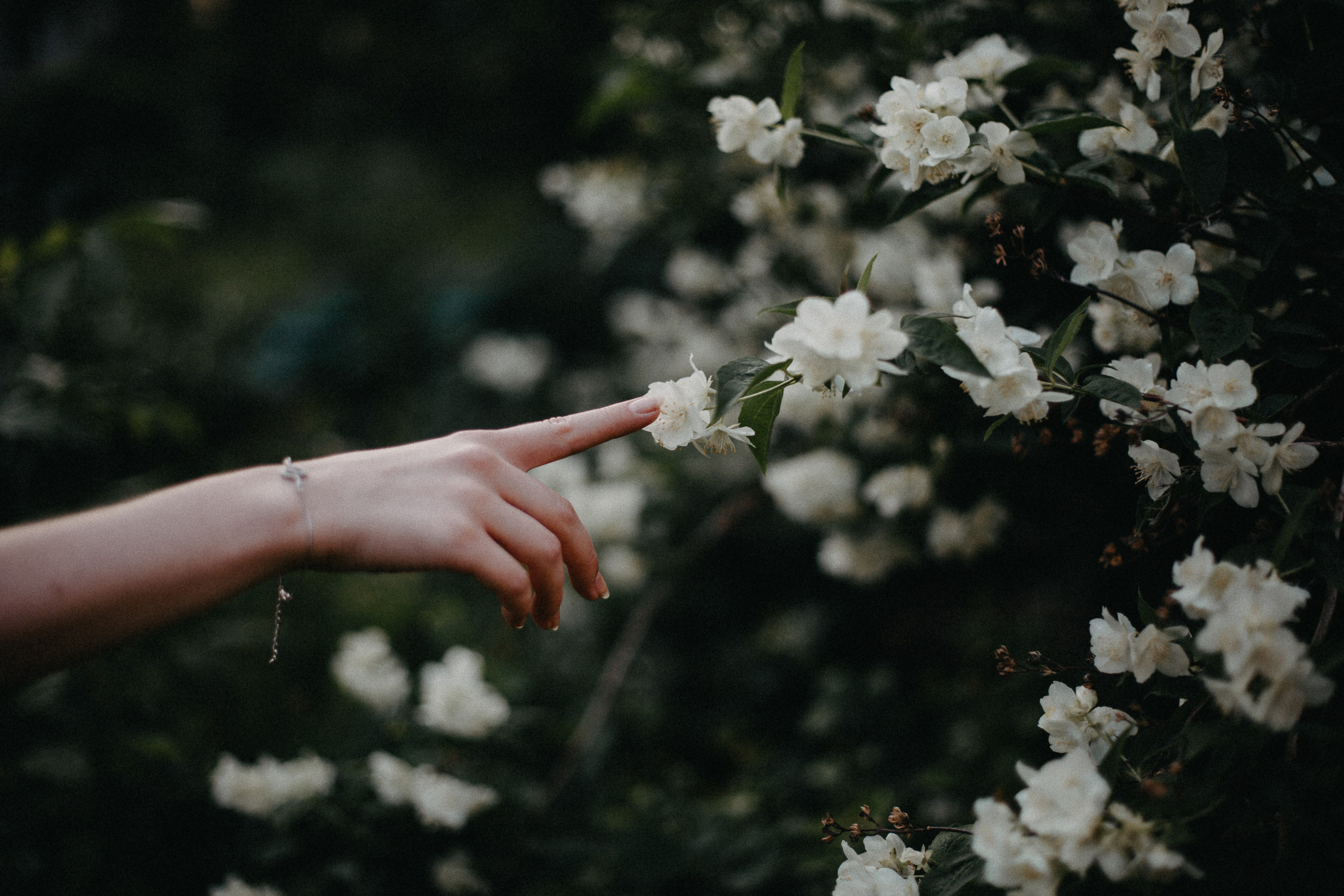 Оля. Репортажный и свадебный фотограф Ярославль, Москва Сдобников Андрей