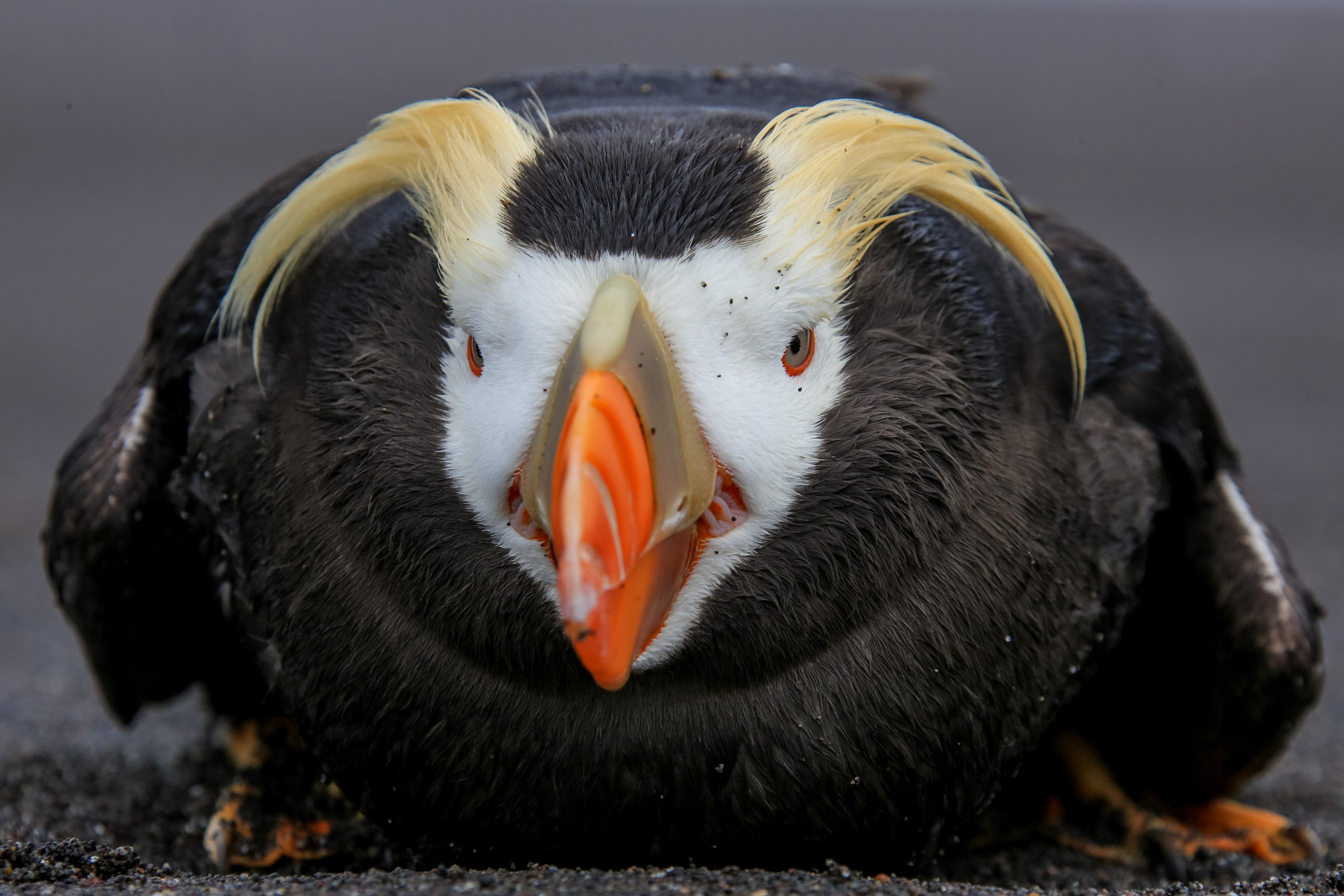 Время Камчатки: чтобы найти свой путь, нужно скорость умножить на время