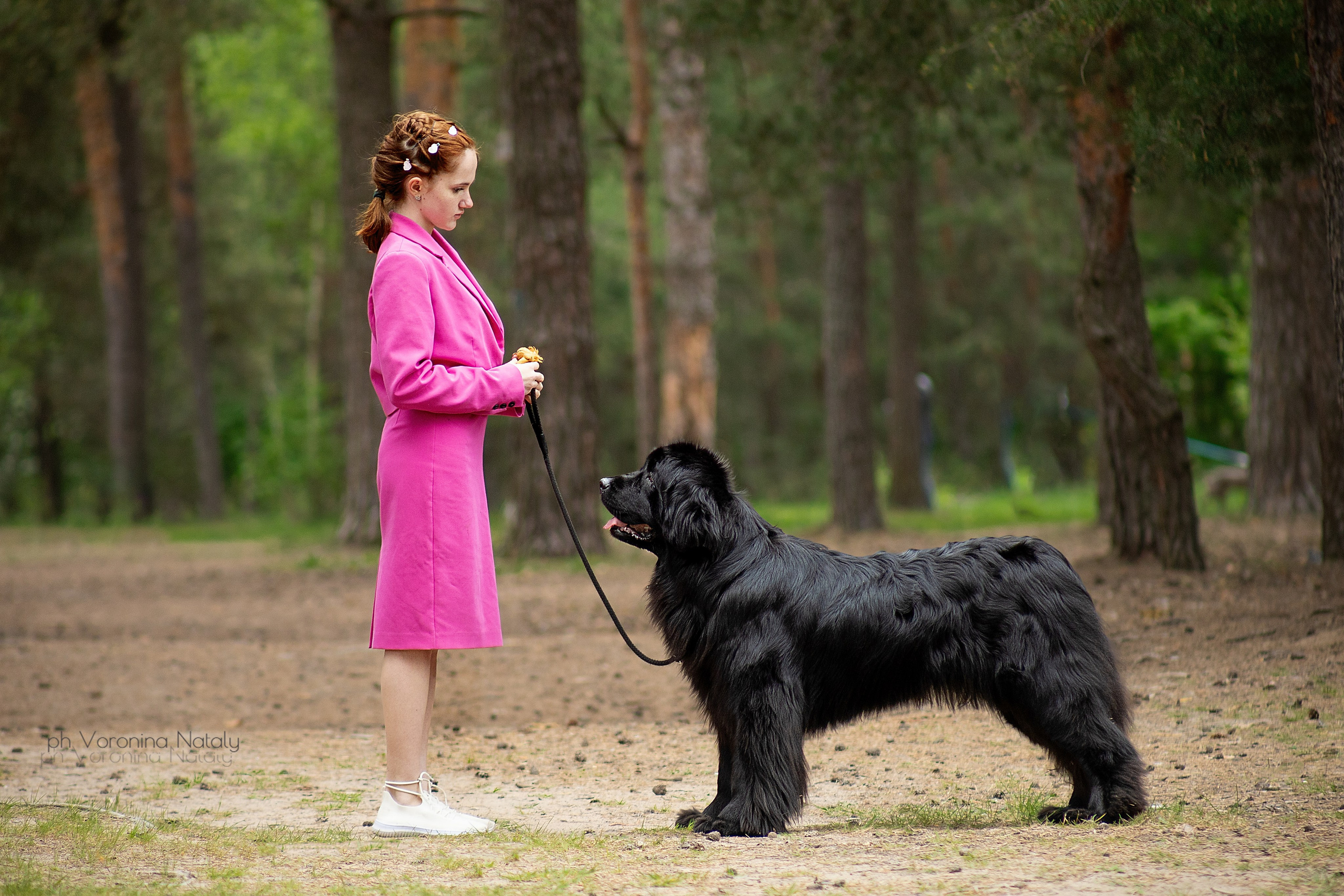Анимализм г. Владимир. Воронина Наталия — индивидуальный и свадебный фотограф в Рязани