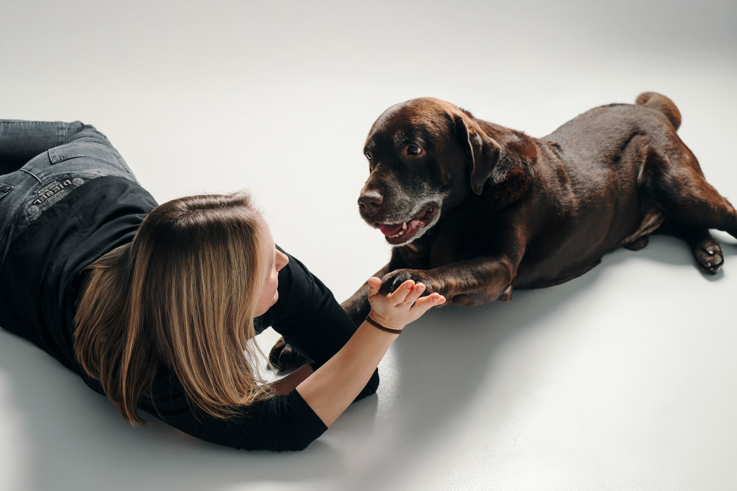 Оля и Шерлок. Семейный фотограф анималист Ананьева Мария — Москва