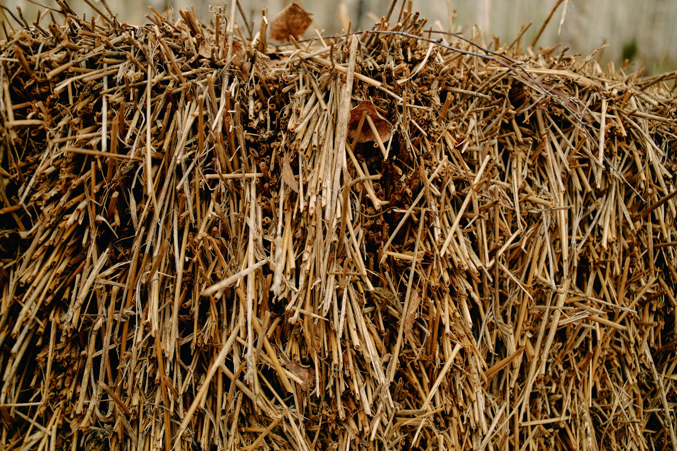 Бутик-отель Поле летом. Профессиональный Фотограф во Владимире, в Москве и в Суздале — Полина Романычева