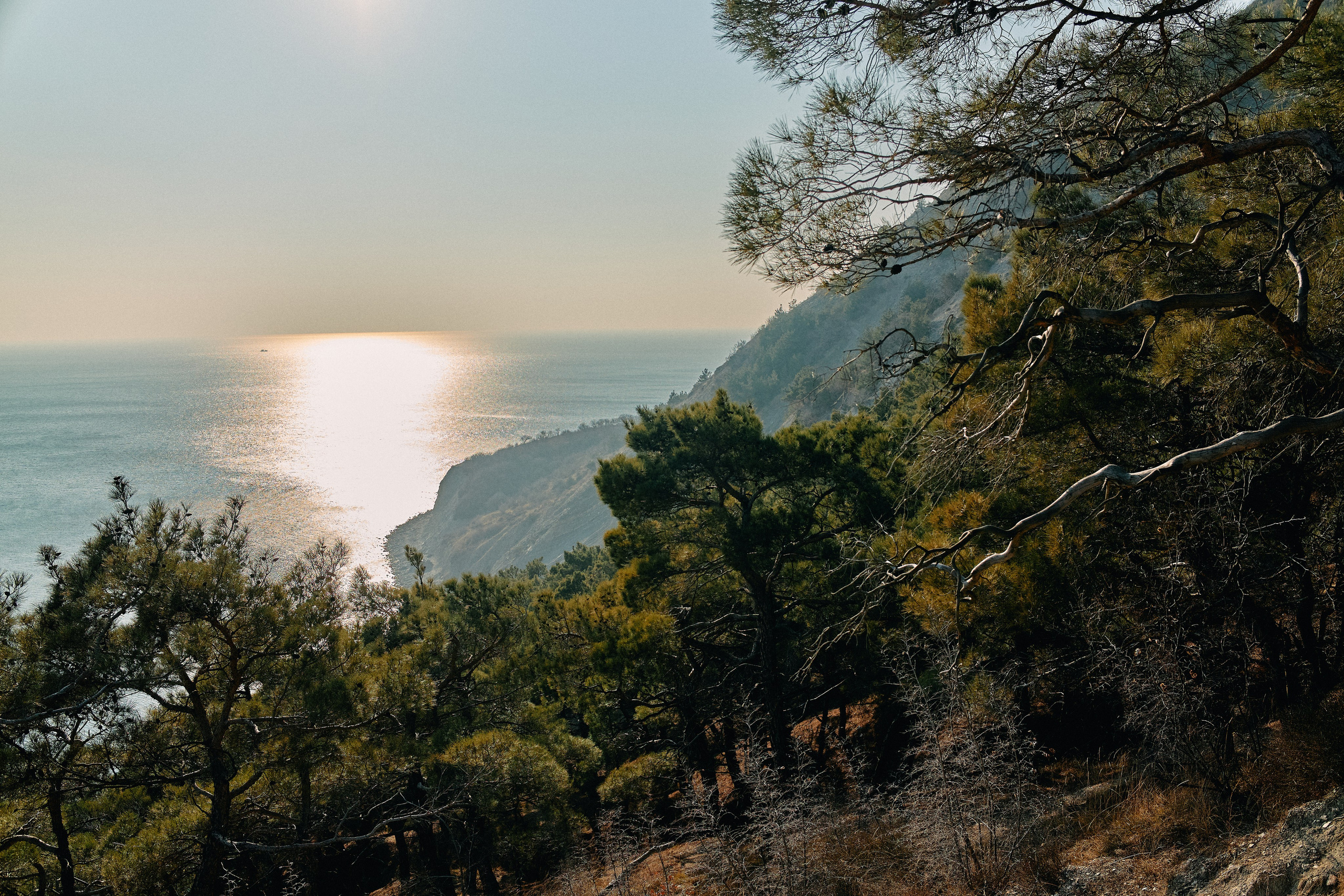 Юг России. Профессиональный Фотограф во Владимире, в Москве и в Суздале — Полина Романычева
