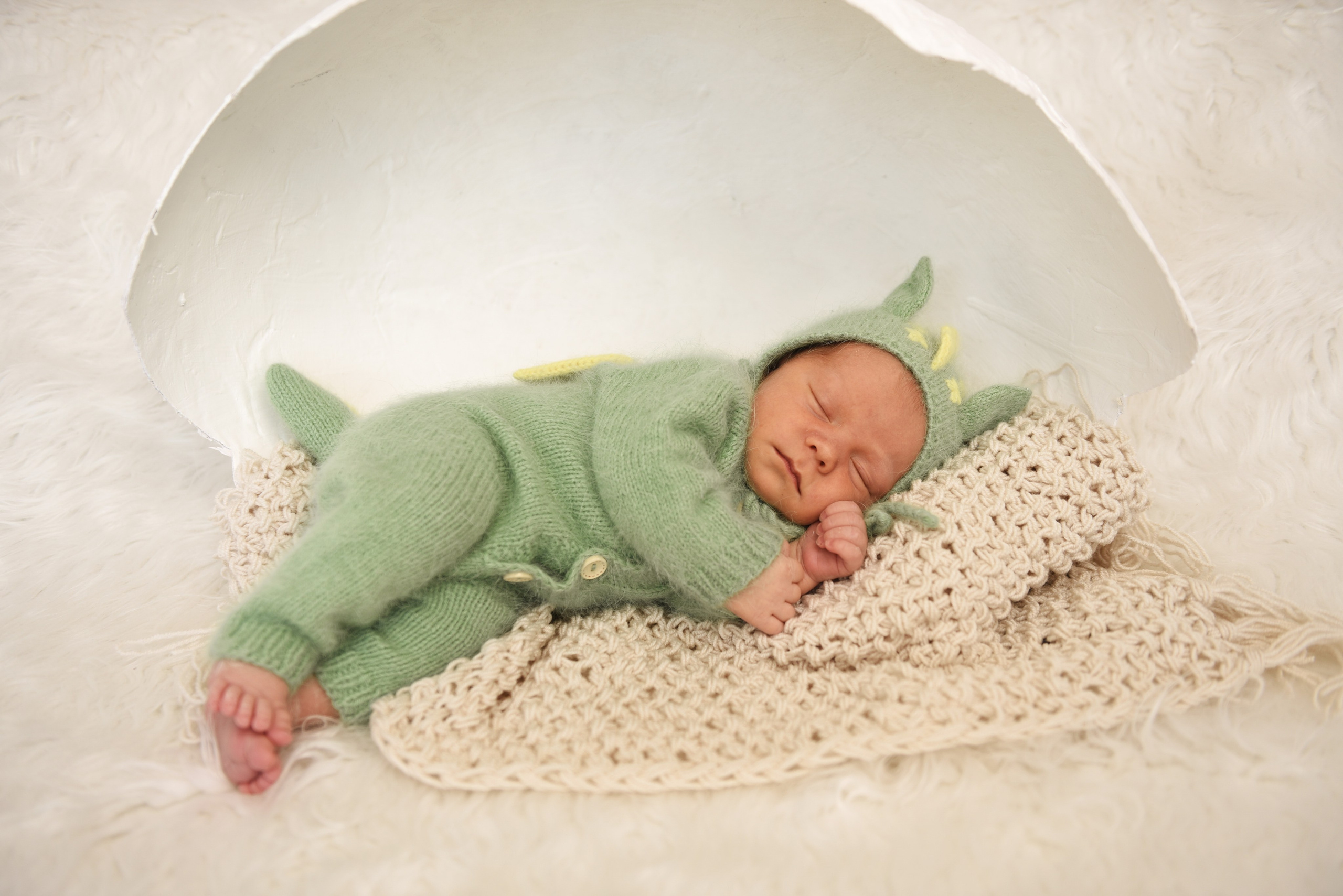 Артем-динозаврик. Семейный, детский и школьный фотограф в Димитровграде Наумова Екатерина