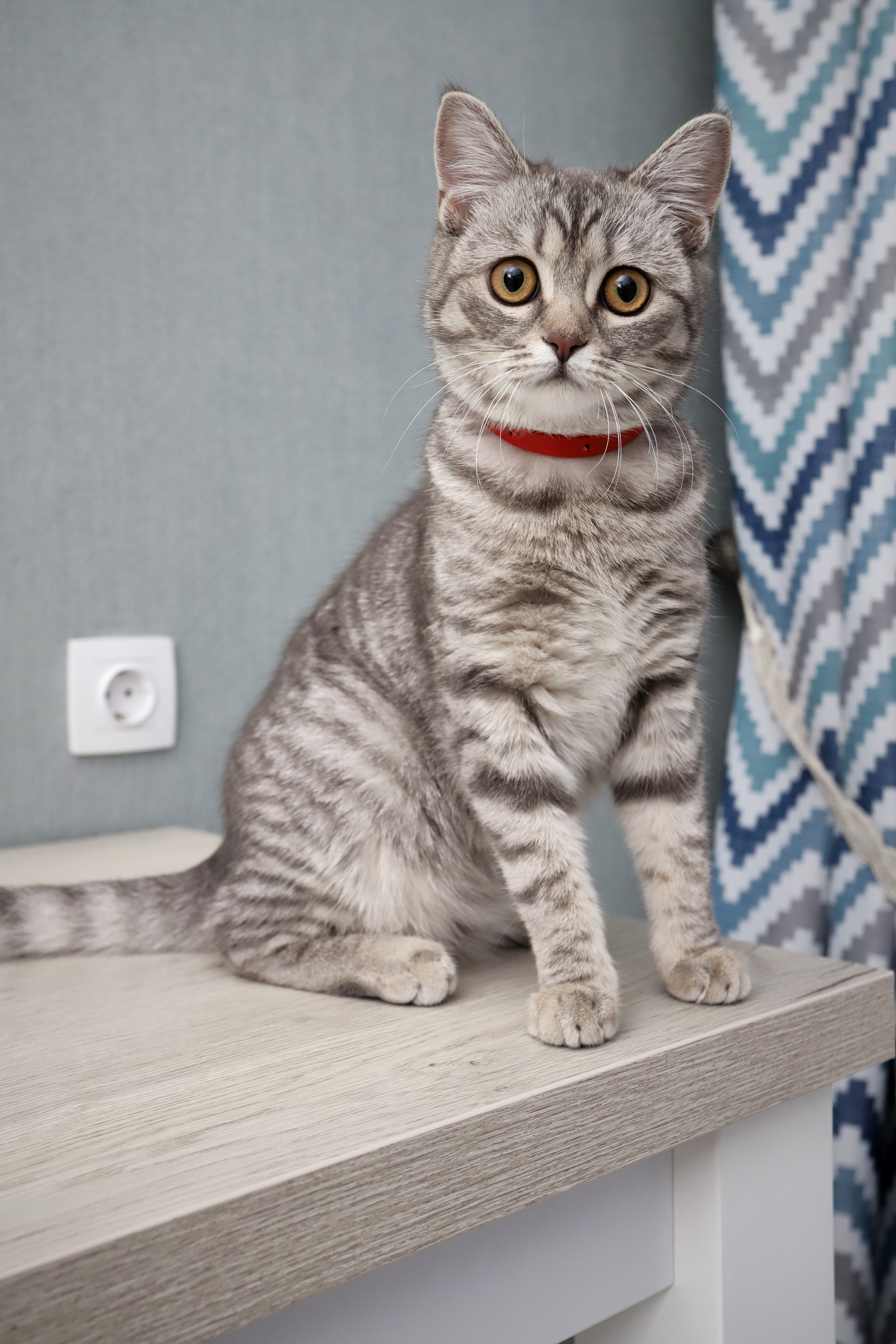 Светлая практичная кухня. Мебель под заказ. Дрогичин