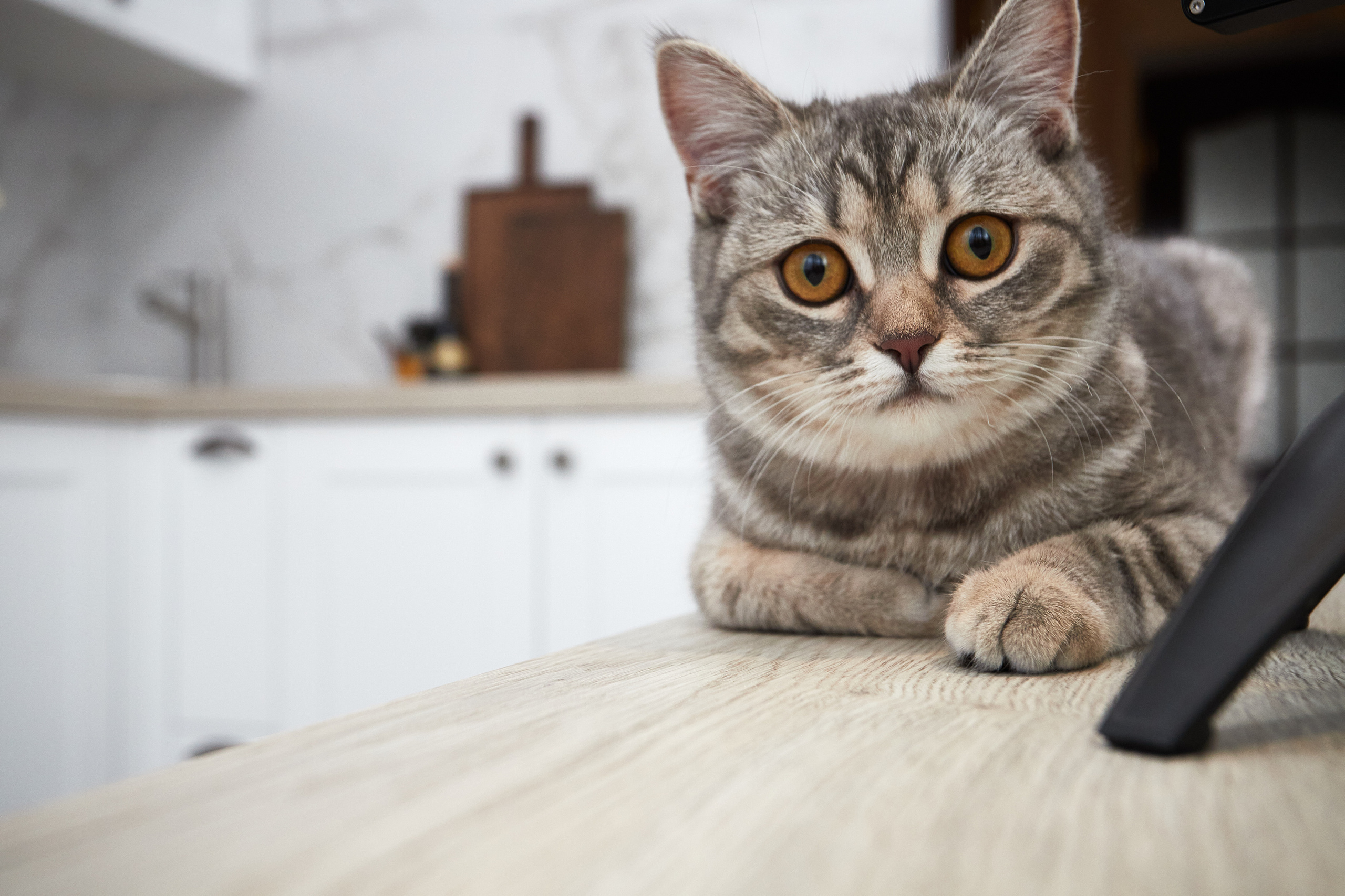 Светлая практичная кухня. Мебель под заказ. Дрогичин