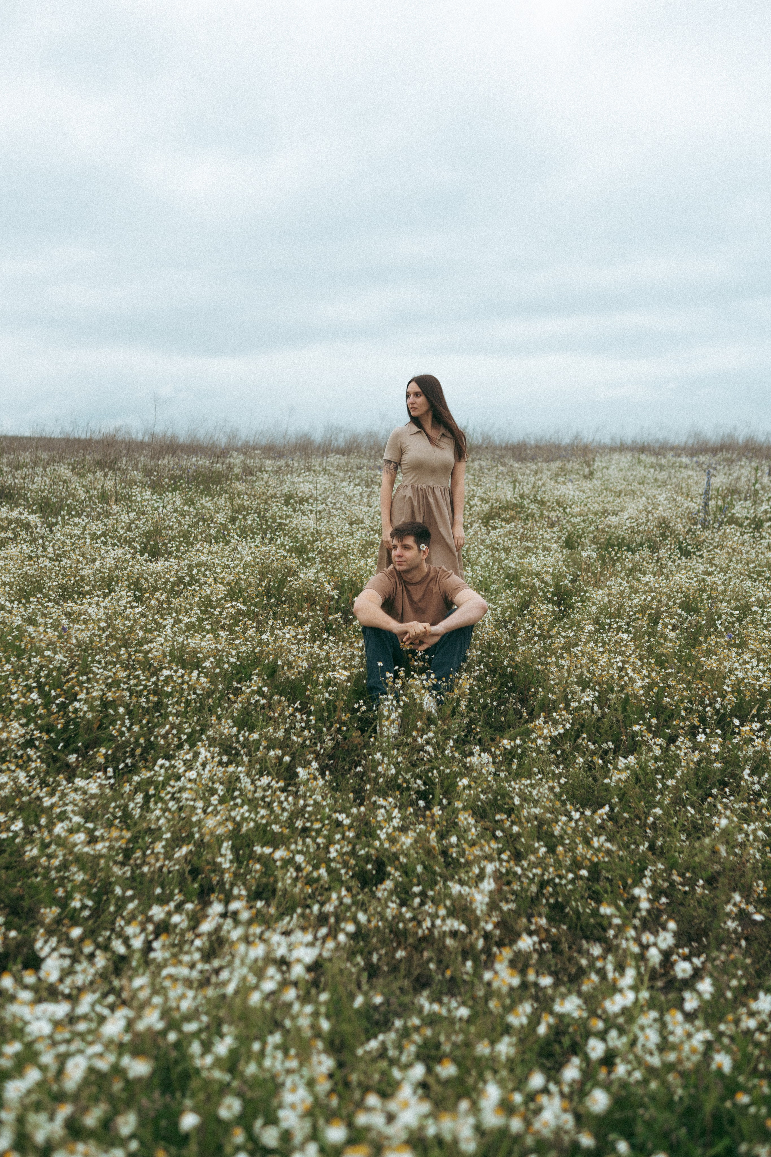 Ромашки. Фотограф Мария Зайчик