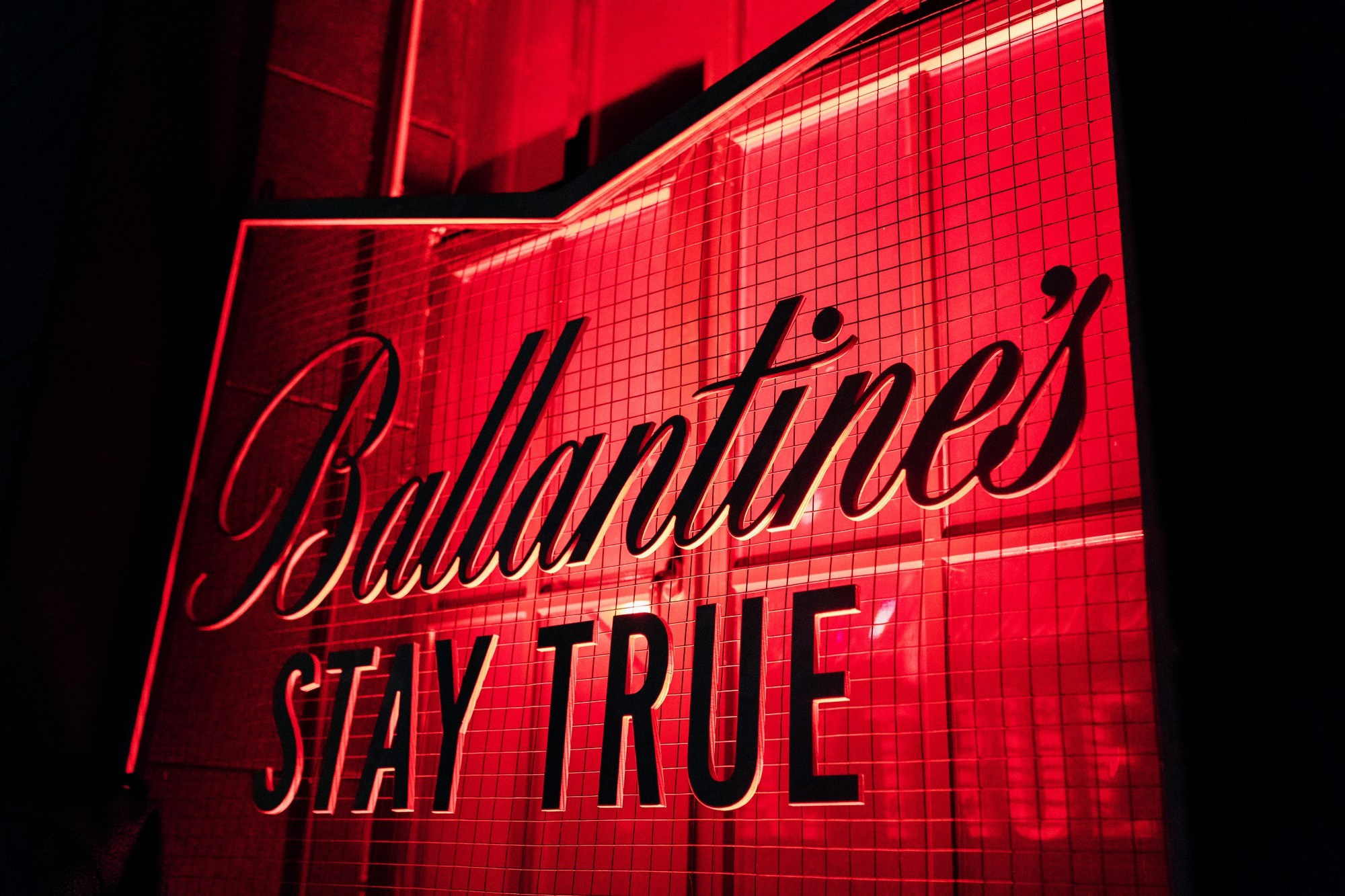 Фотосессия в Москве, заказать услуги профессионального фотографа — цены