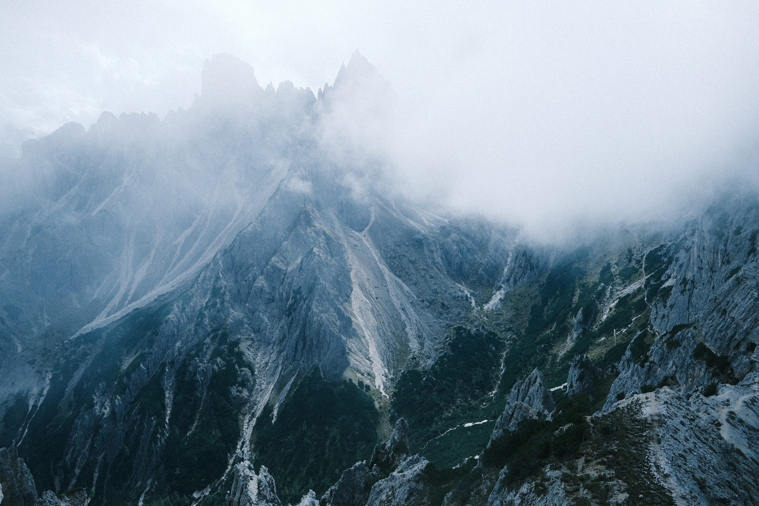 Фотографии природных явлений и животных. Фотограф Андрей Македонский