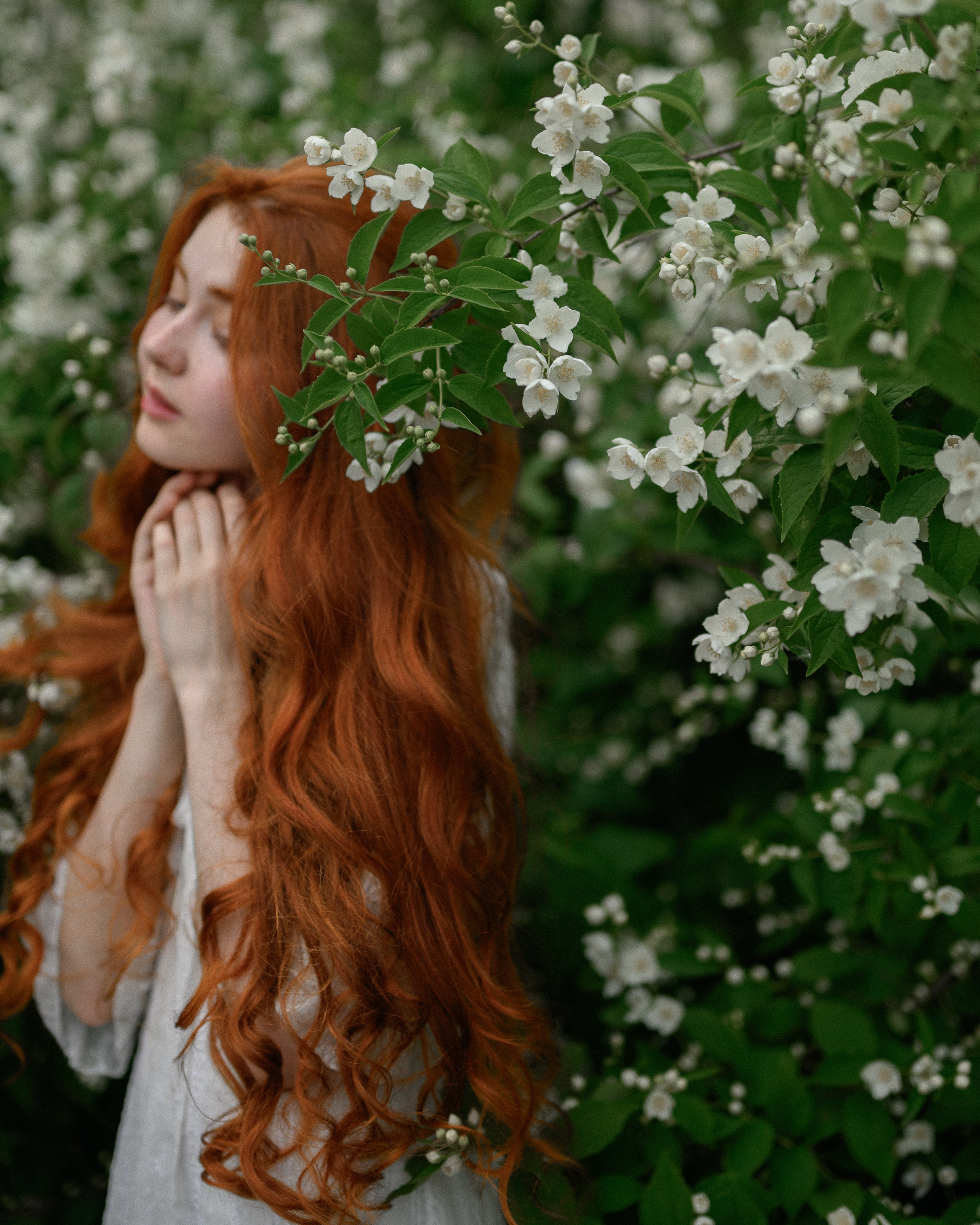 Съёмка в белом цветении в Сиреневом саду. Semerlina.ru