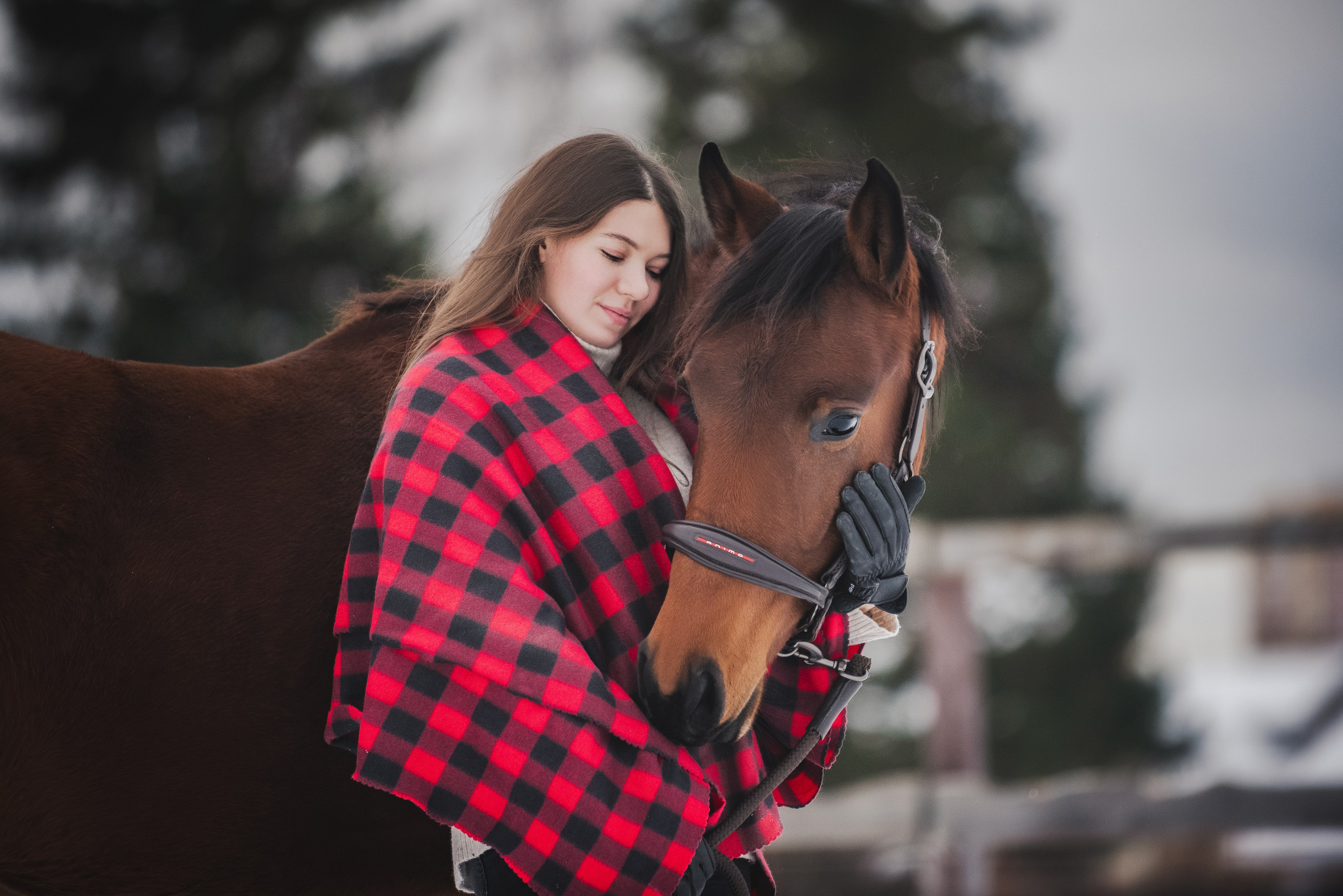 Дестини. Куракина Дарья • Конный фотограф