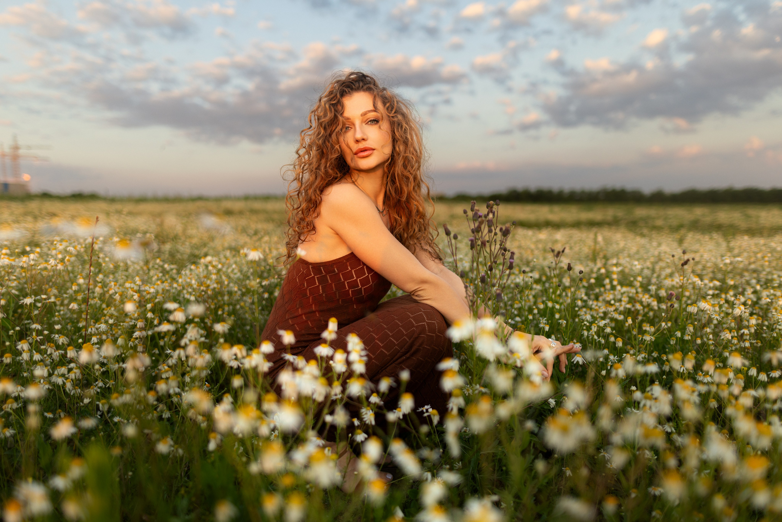 Фотосет на рассвете с Дианой в поле ромашек и пшеницы в формате для «себя». Дмитрий Шульгин, портретный фотограф в Воронеже
