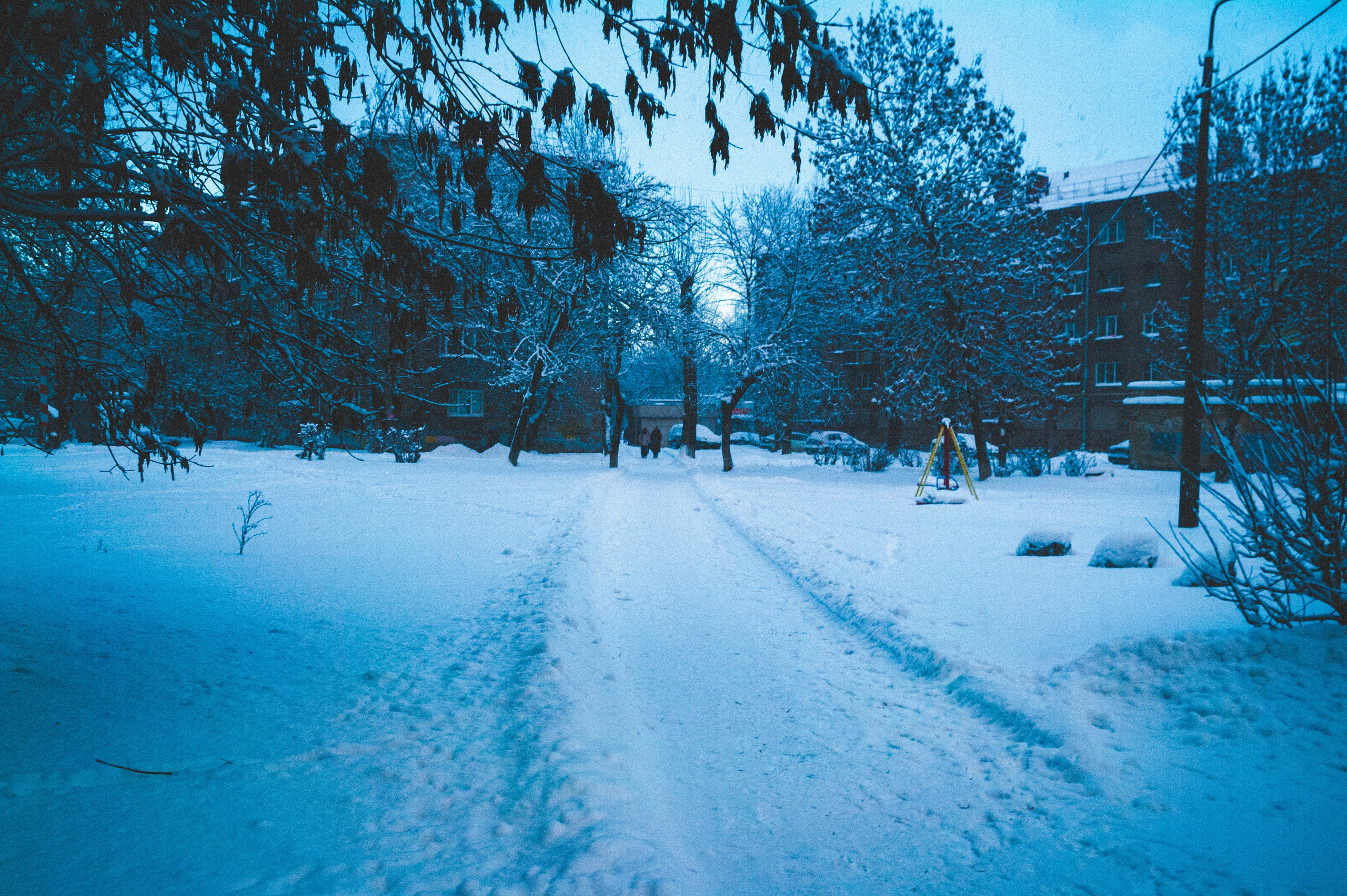 24.35. Den Mirov — Photographer, Musician