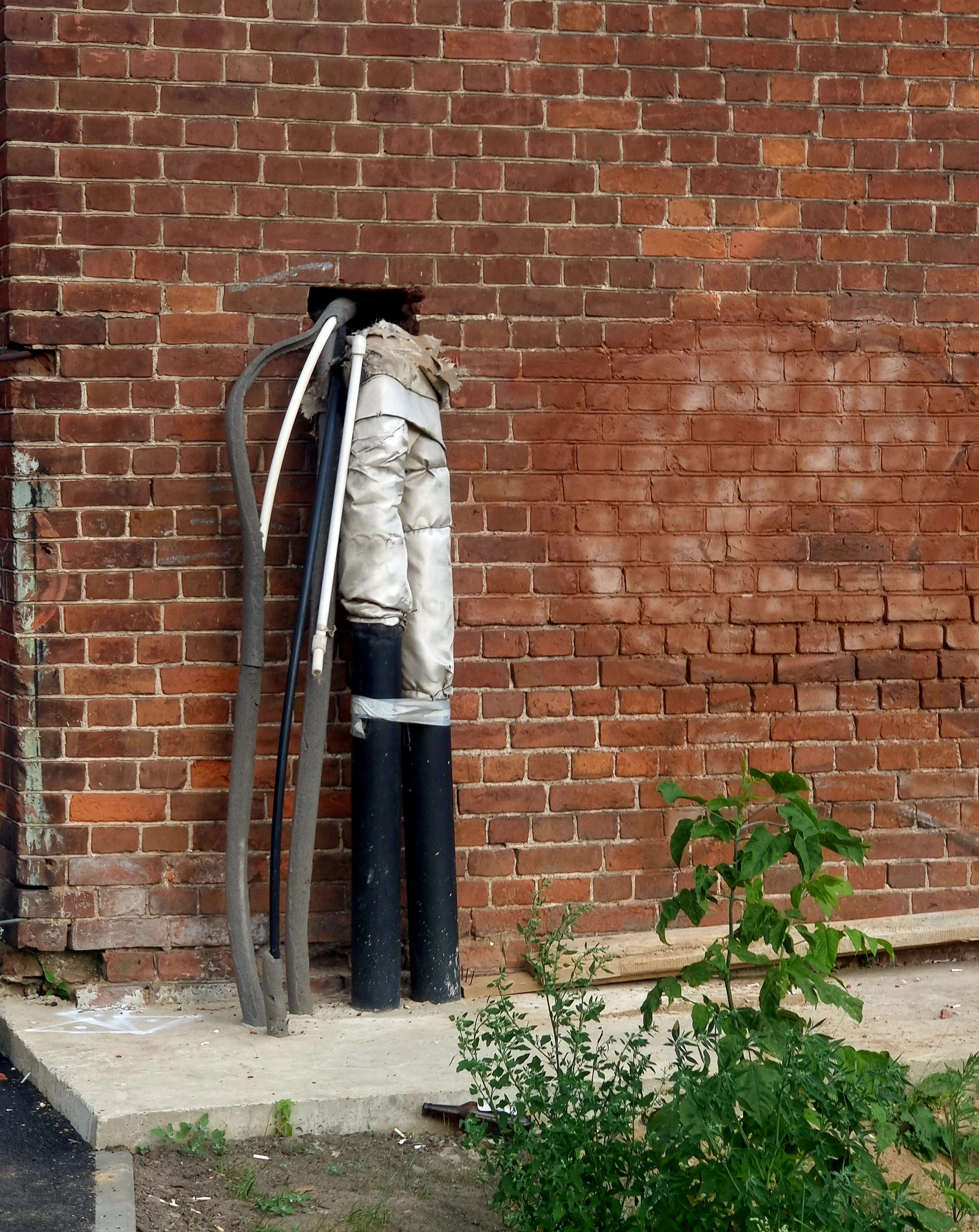 Август 2025. Den Mirov — Фотограф, Музыкант